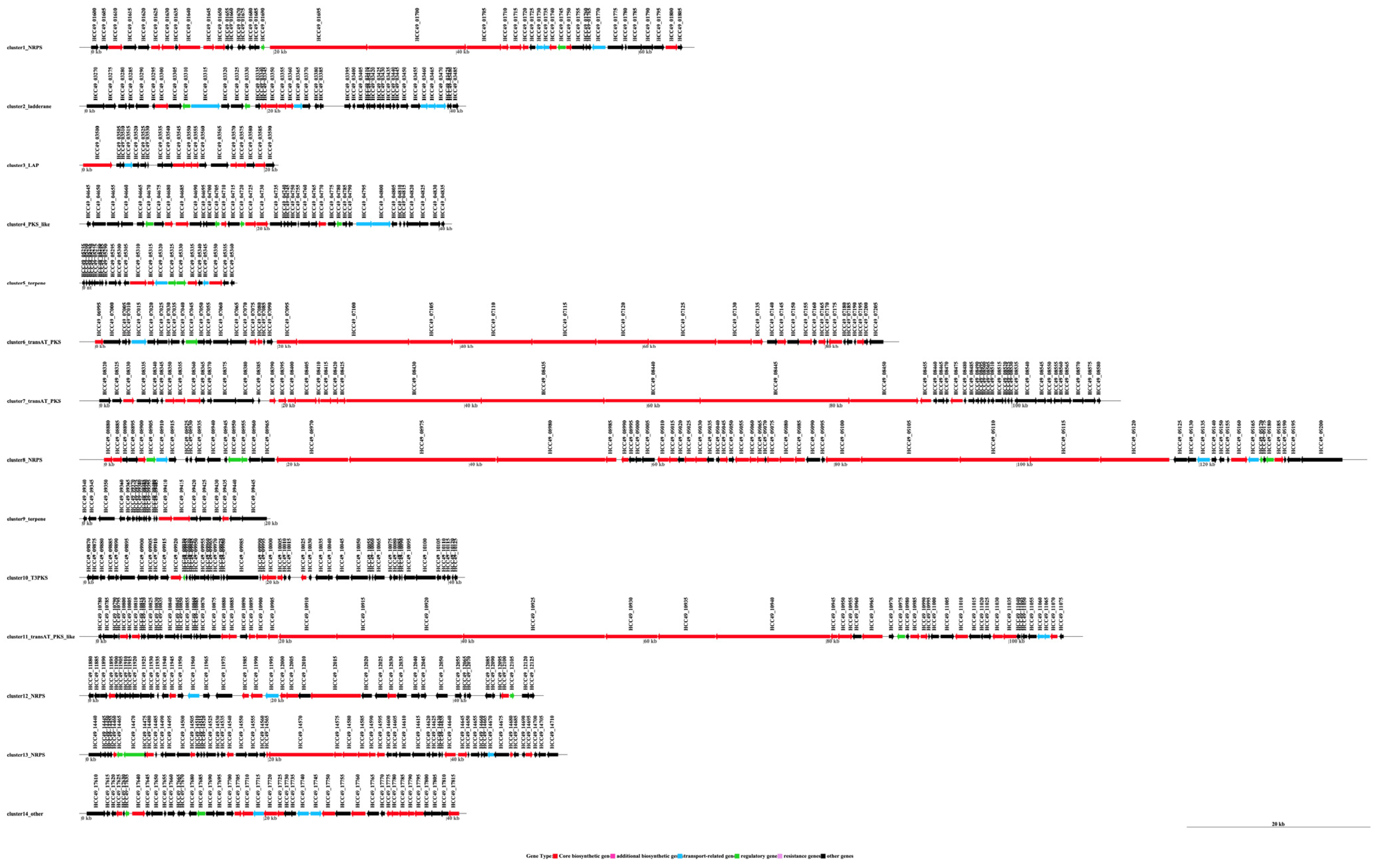 Agronomy 13 01553 g003 Agronomy 13 01553 g003
