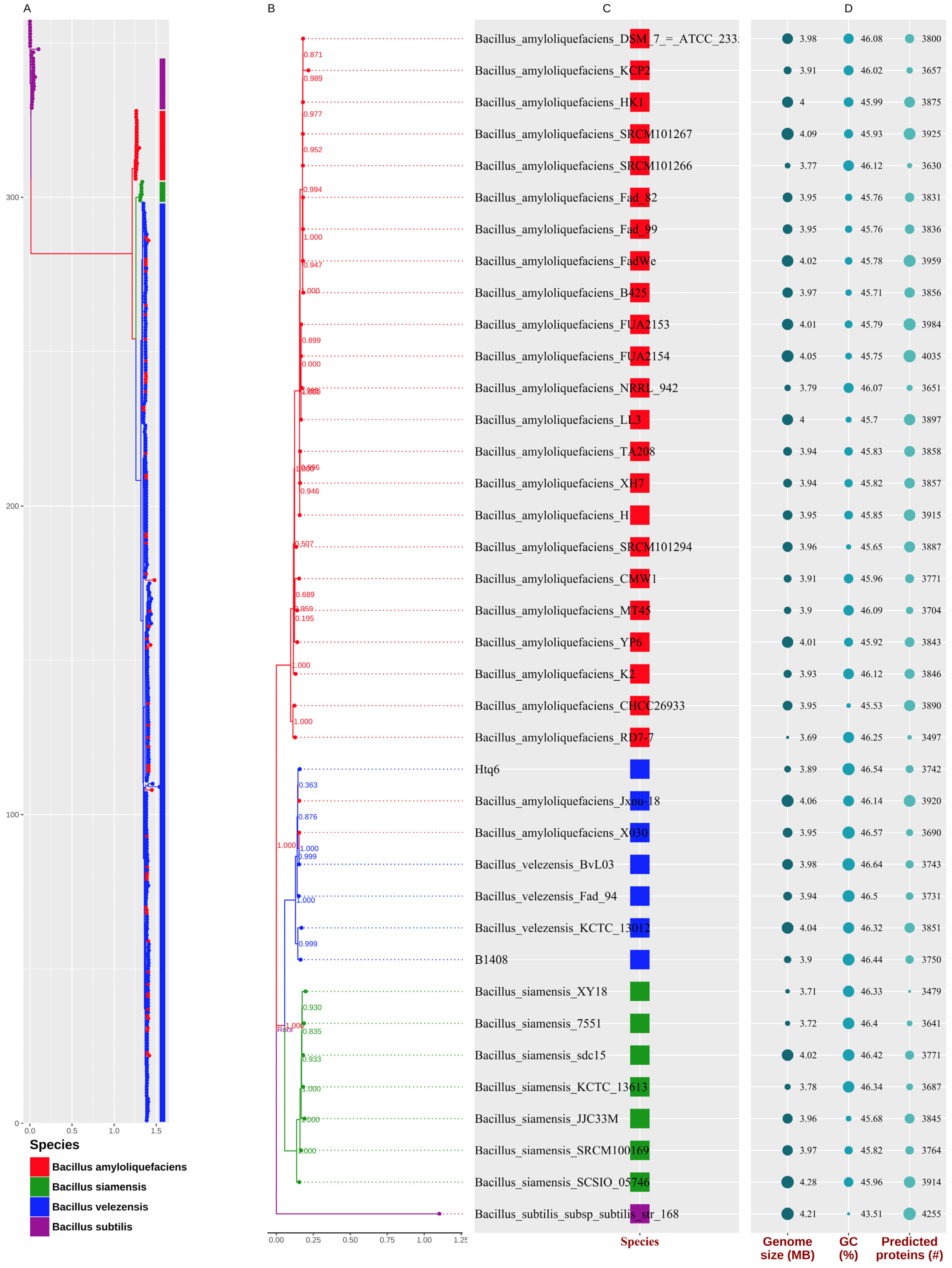 Agronomy 13 01553 g004 Agronomy 13 01553 g004