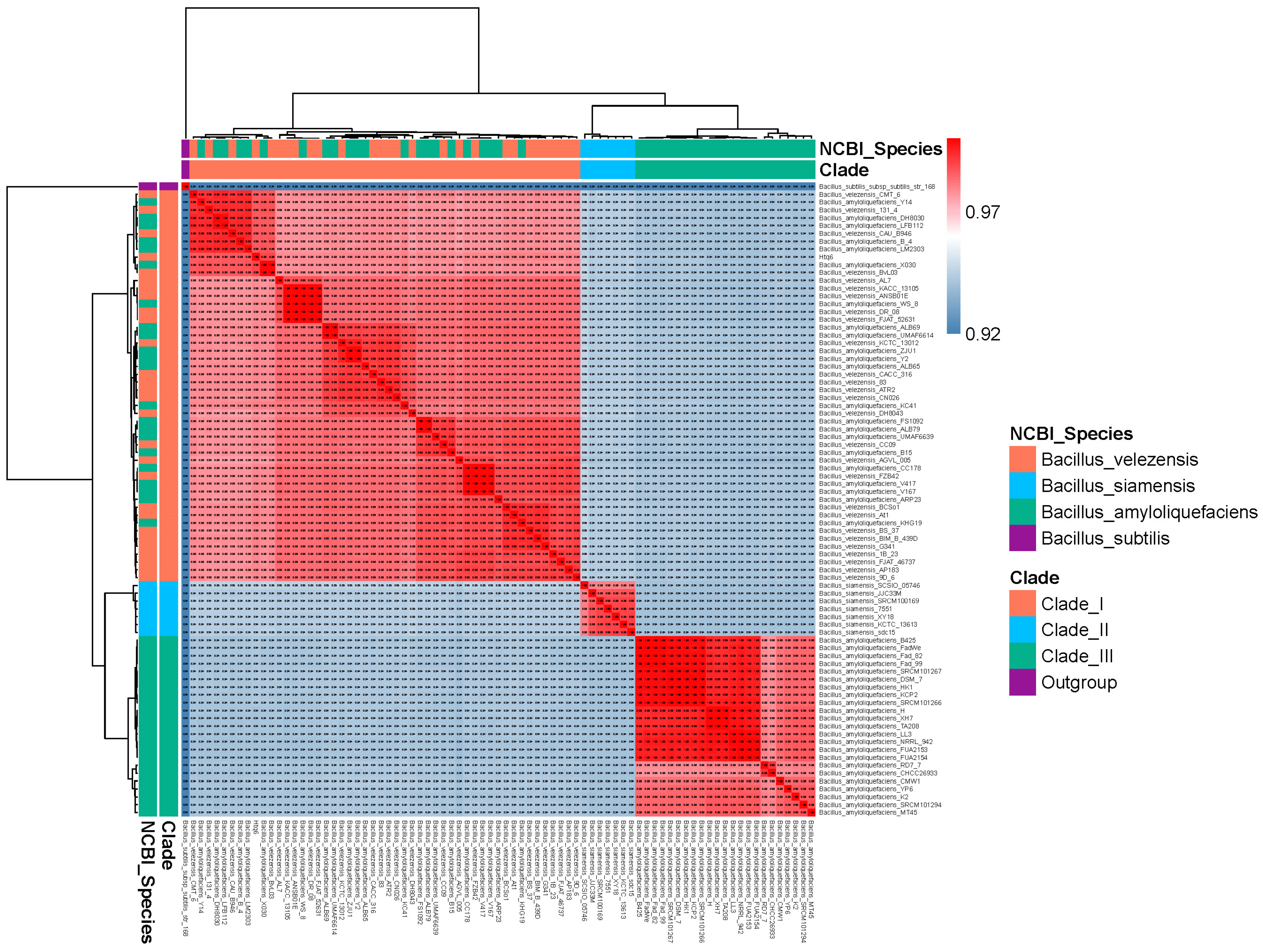 Agronomy 13 01553 g006 Agronomy 13 01553 g006