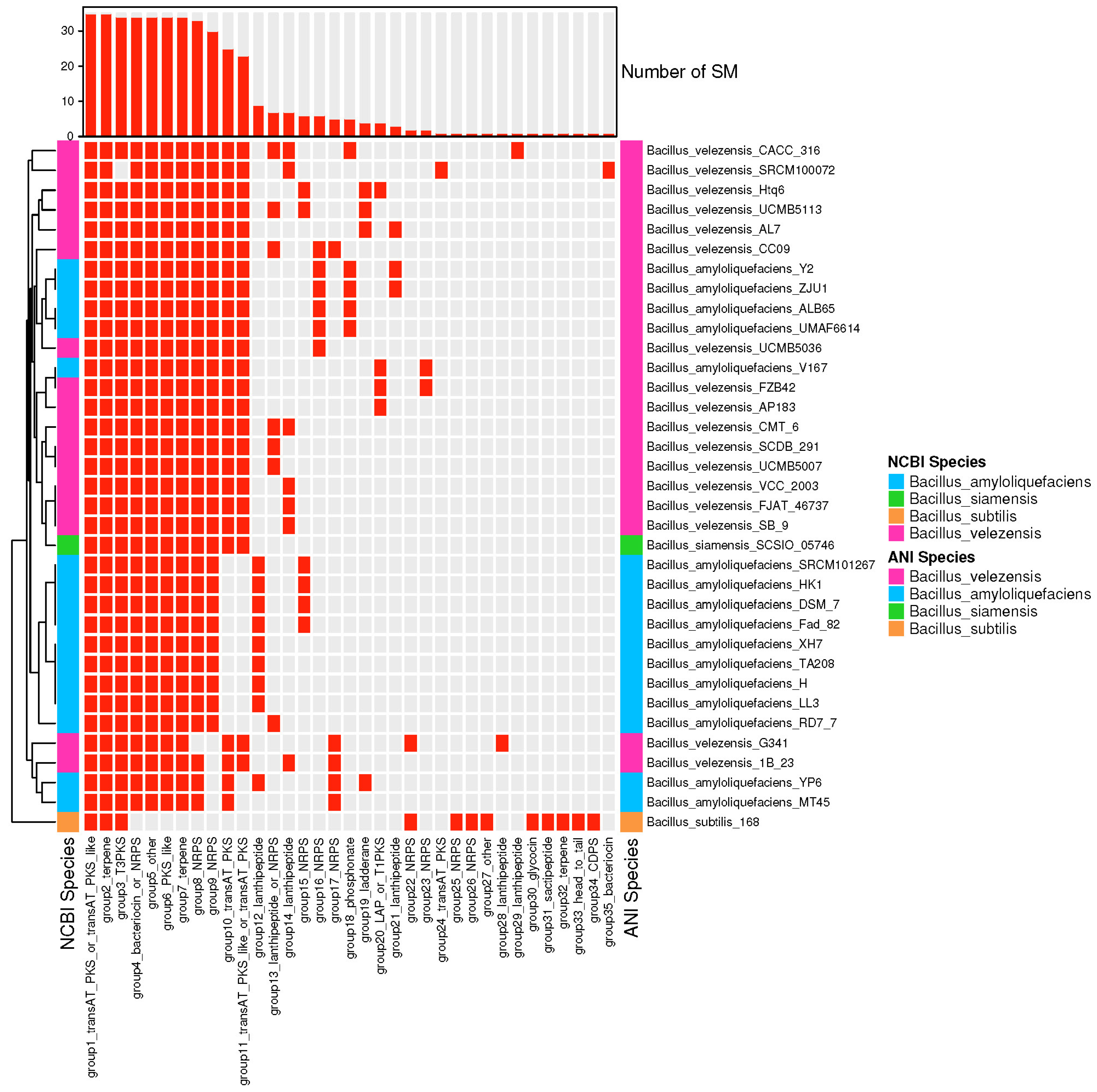 Agronomy 13 01553 g007 Agronomy 13 01553 g007