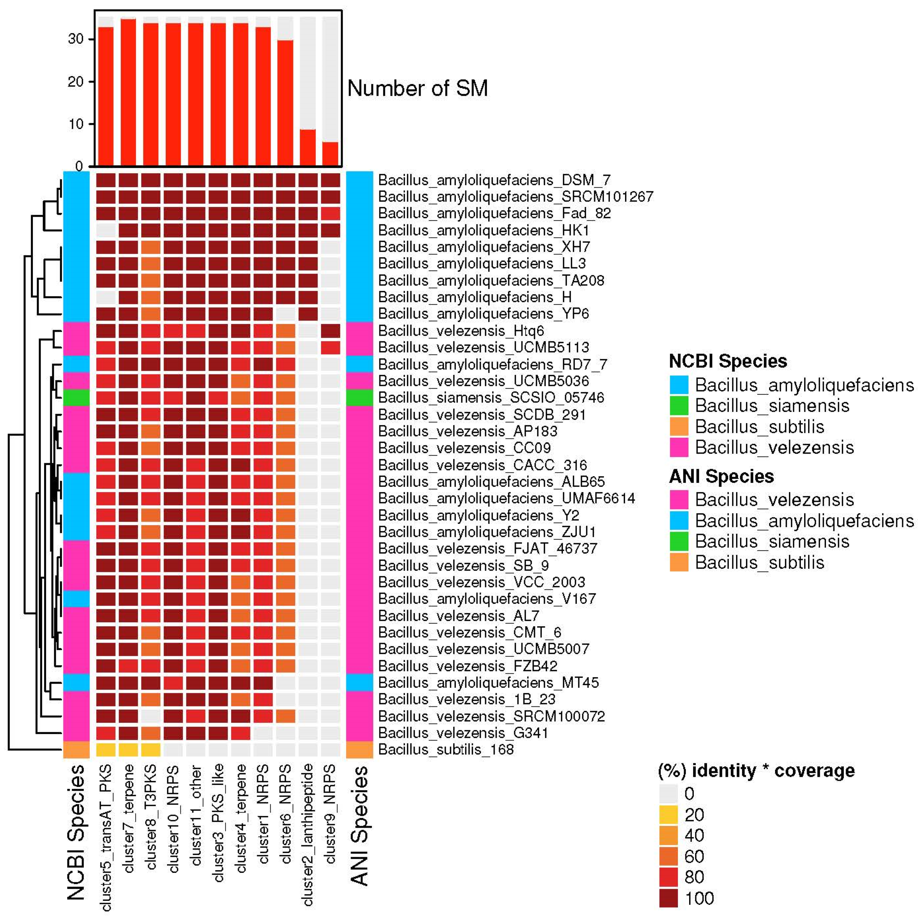 Agronomy 13 01553 g008 Agronomy 13 01553 g008