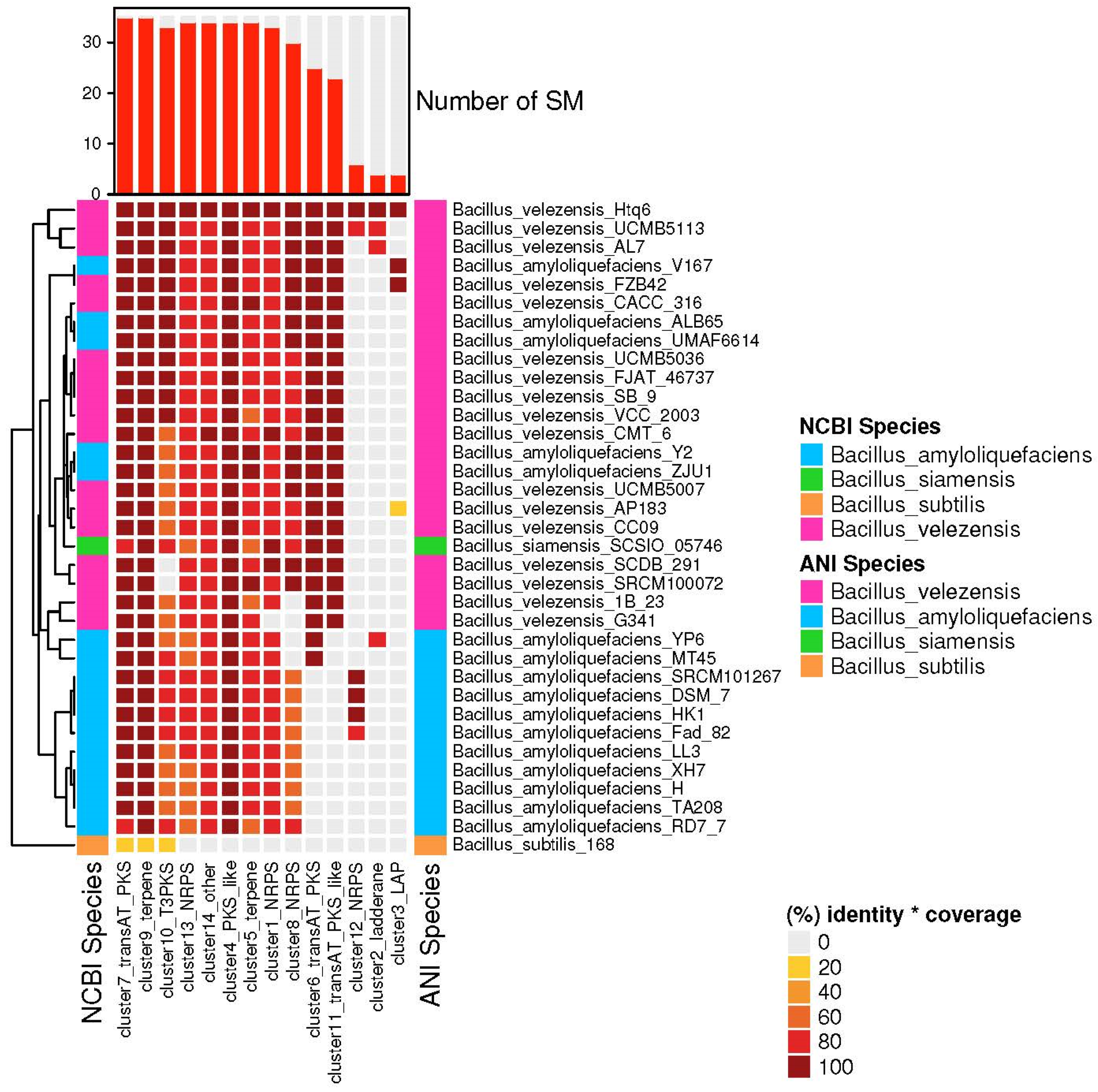 Agronomy 13 01553 g009 Agronomy 13 01553 g009