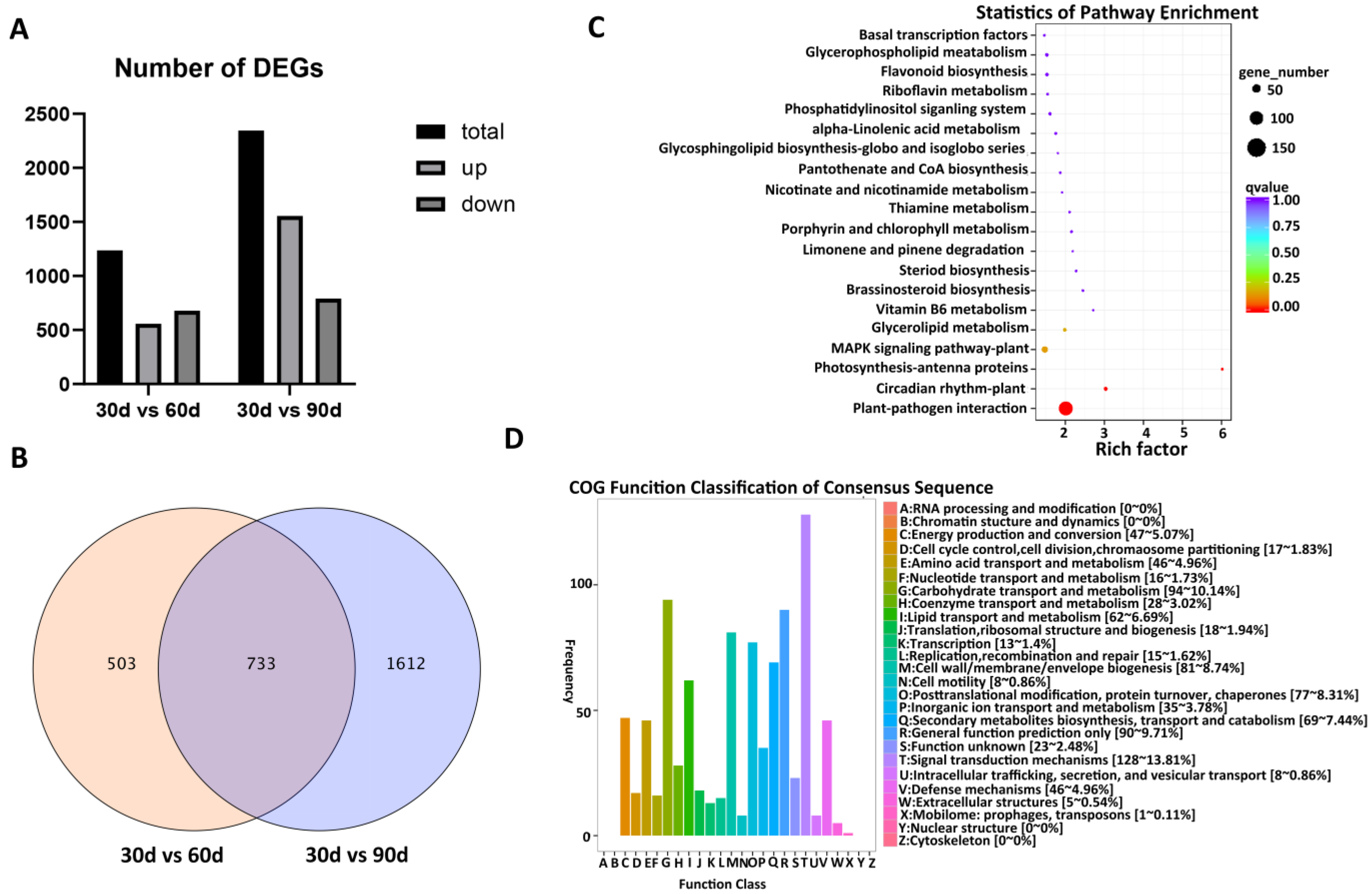 Agronomy 13 01561 g003