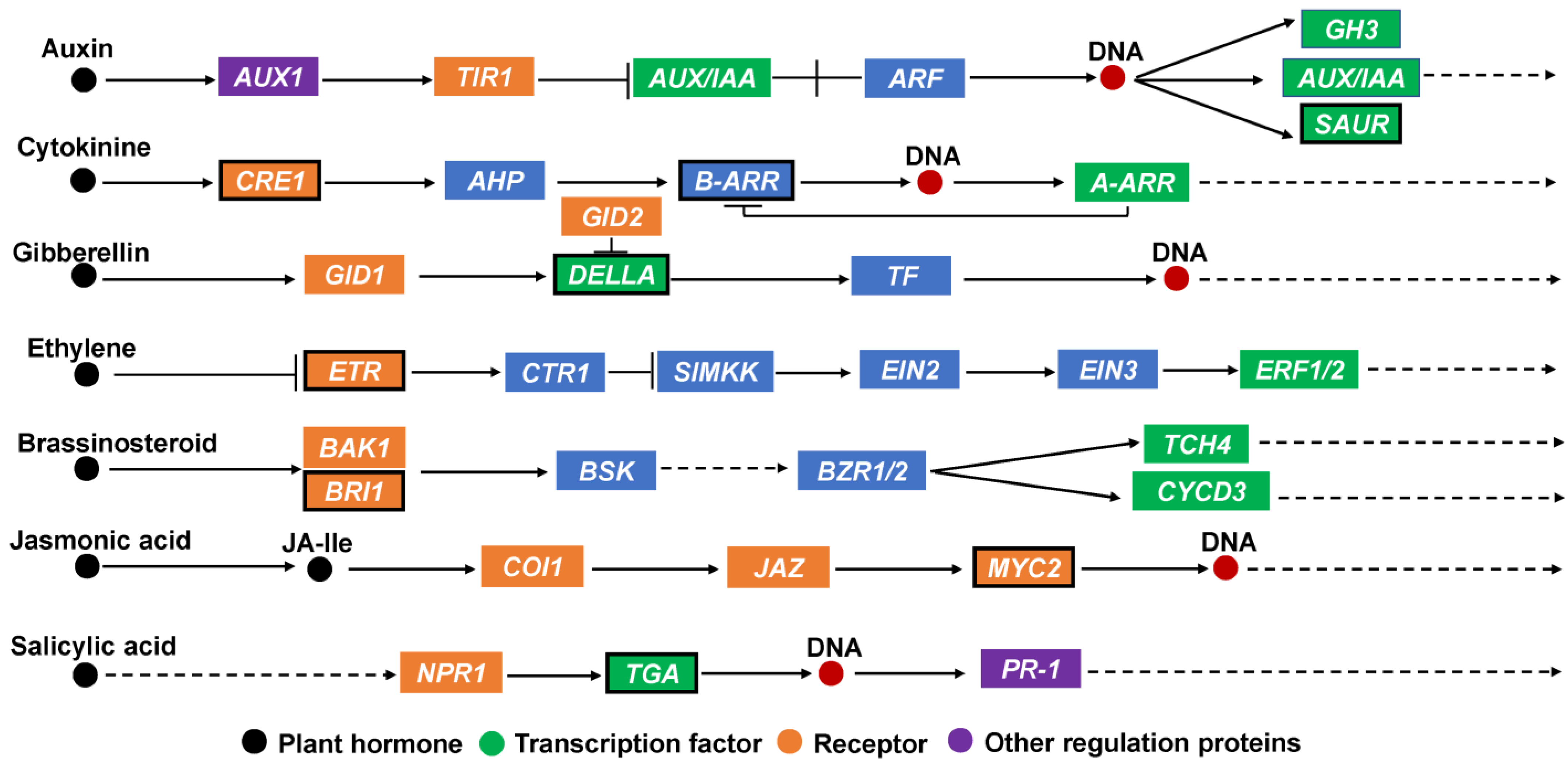 Agronomy 13 01561 g005