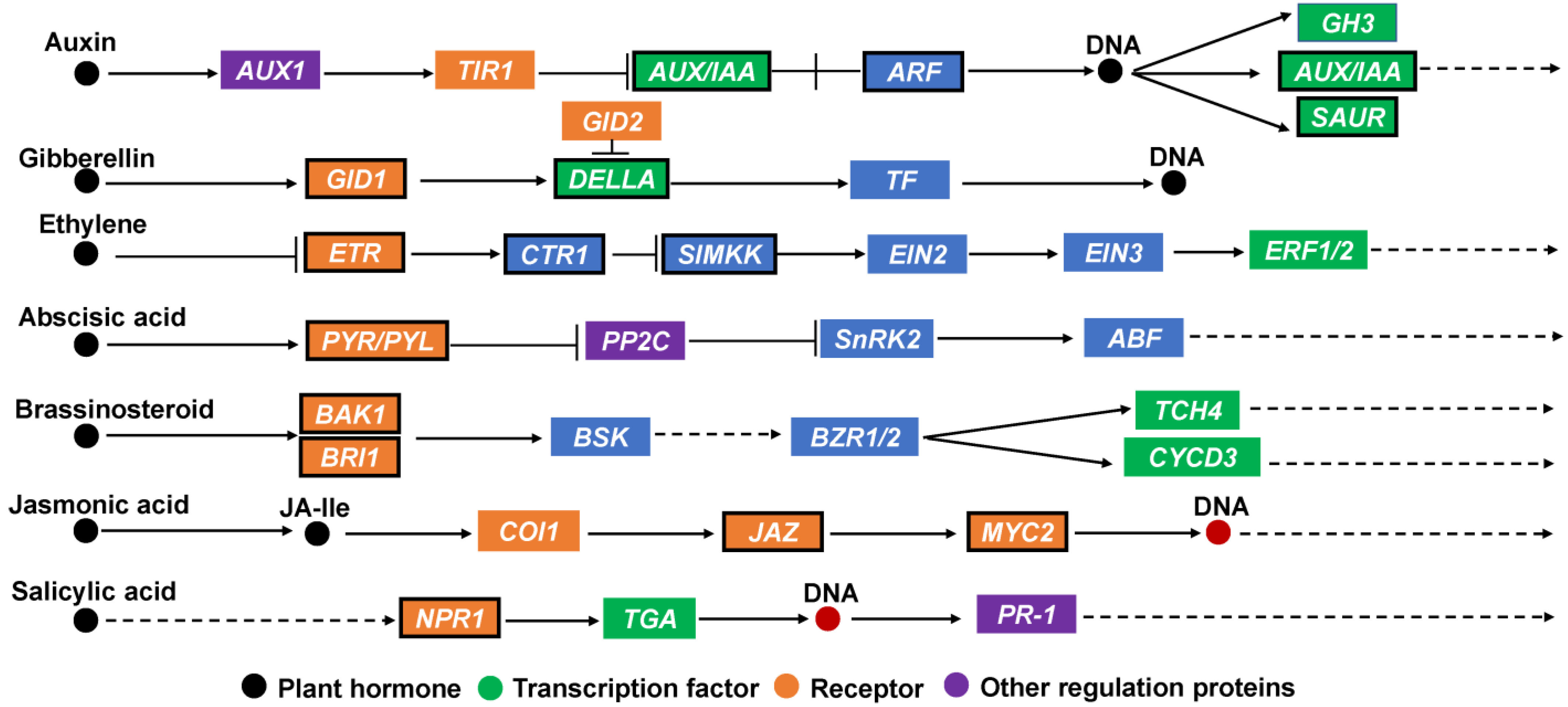 Agronomy 13 01561 g006
