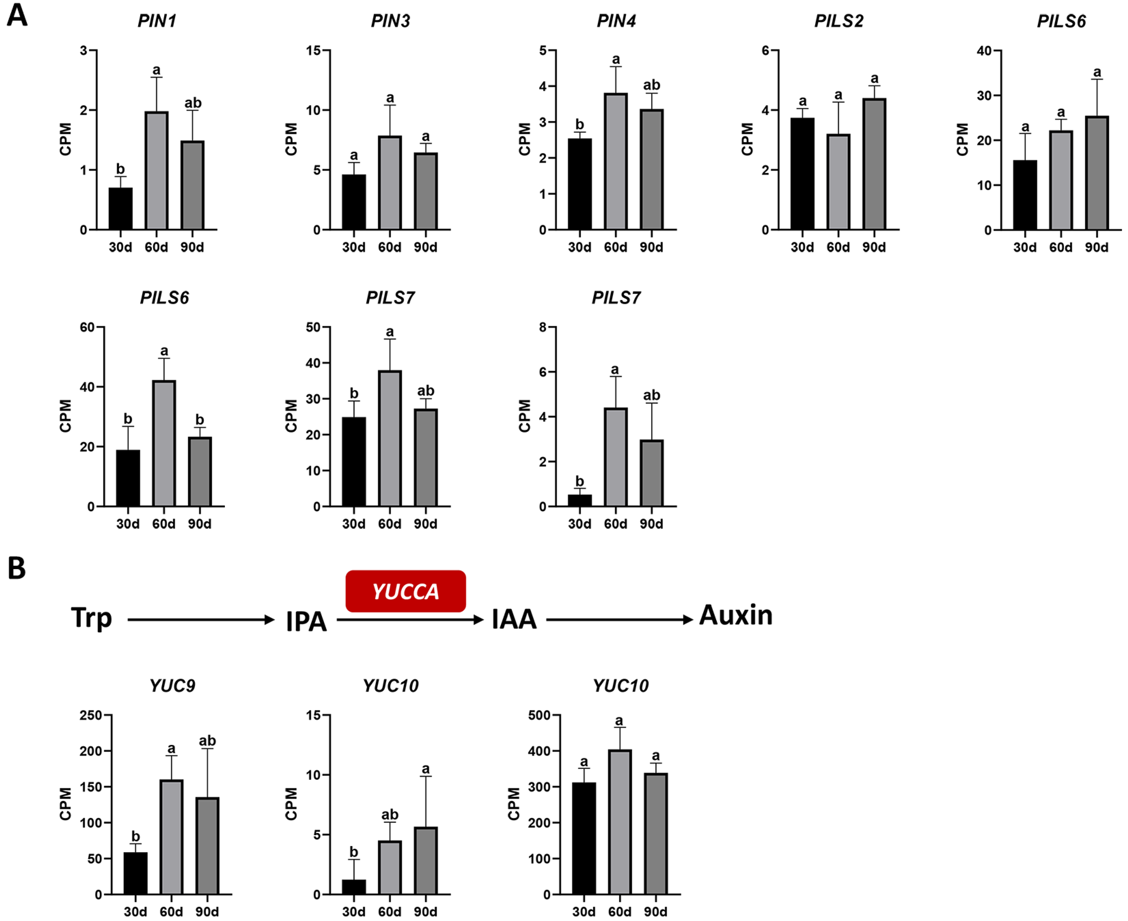 Agronomy 13 01561 g007