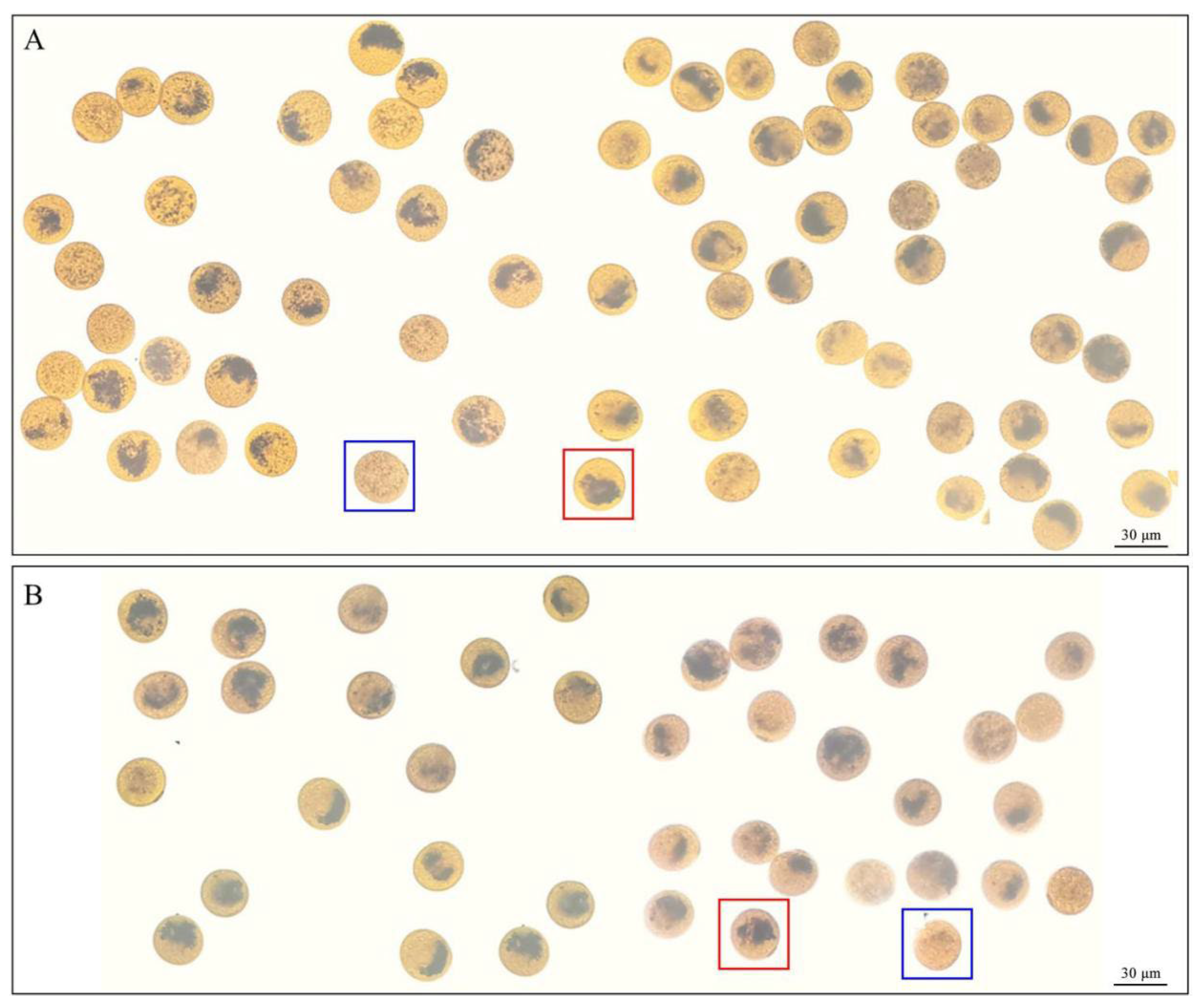 Agronomy 13 01569 g001 Agronomy 13 01569 g001