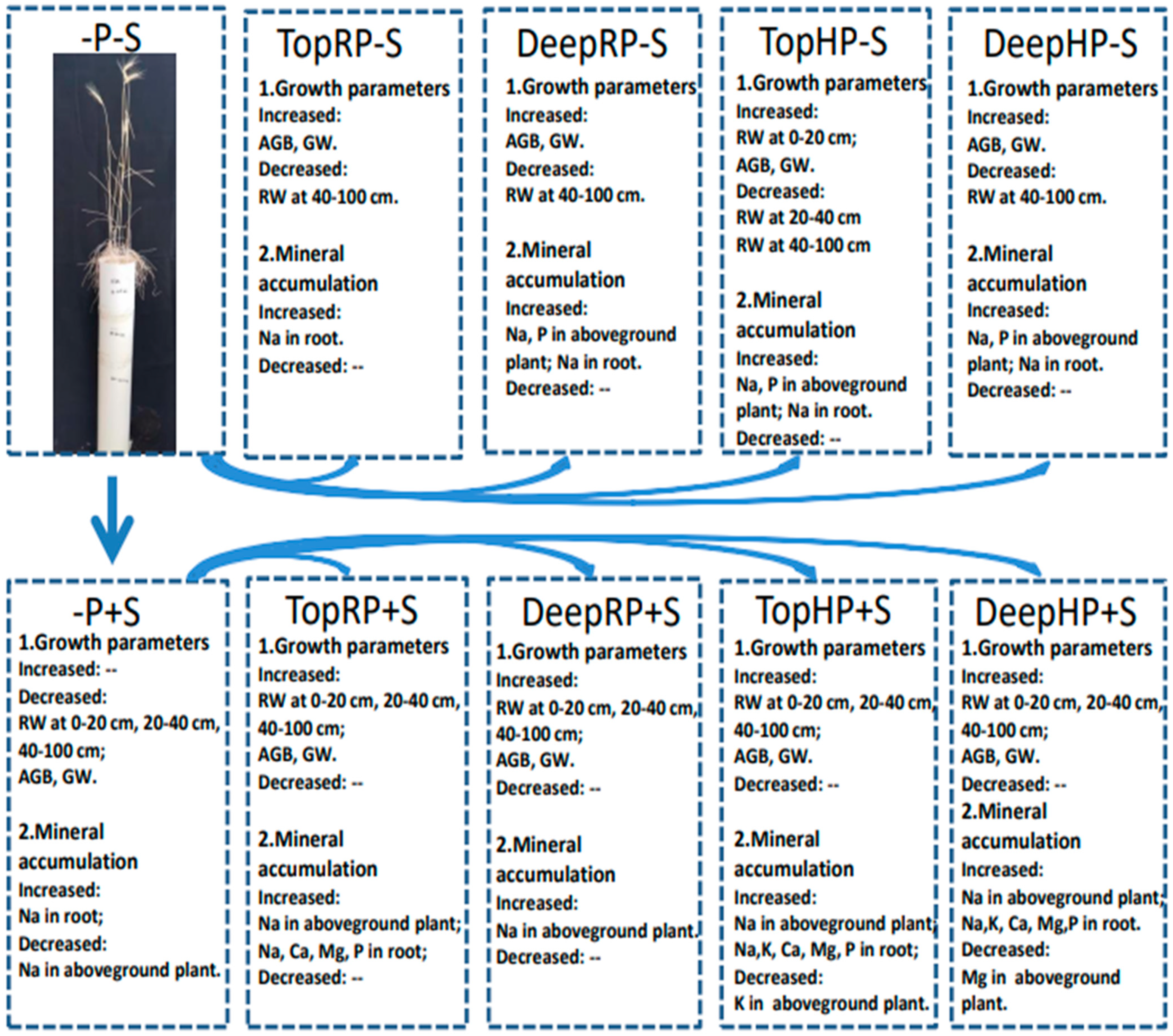Agronomy 13 01570 g004 Agronomy 13 01570 g004