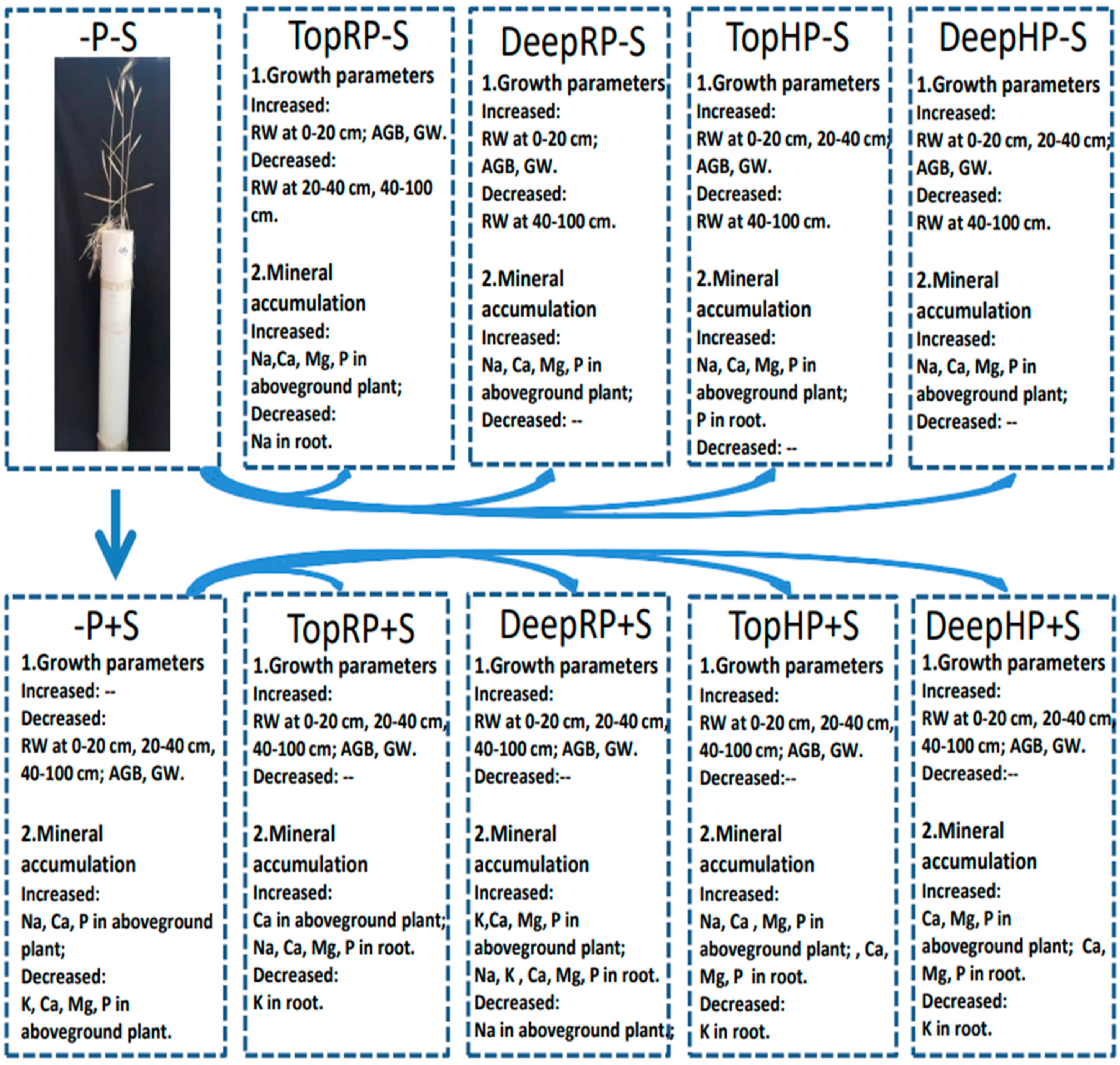 Agronomy 13 01570 g005 Agronomy 13 01570 g005