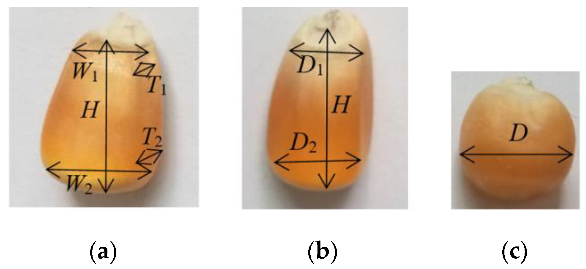 Agronomy 13 01573 g003