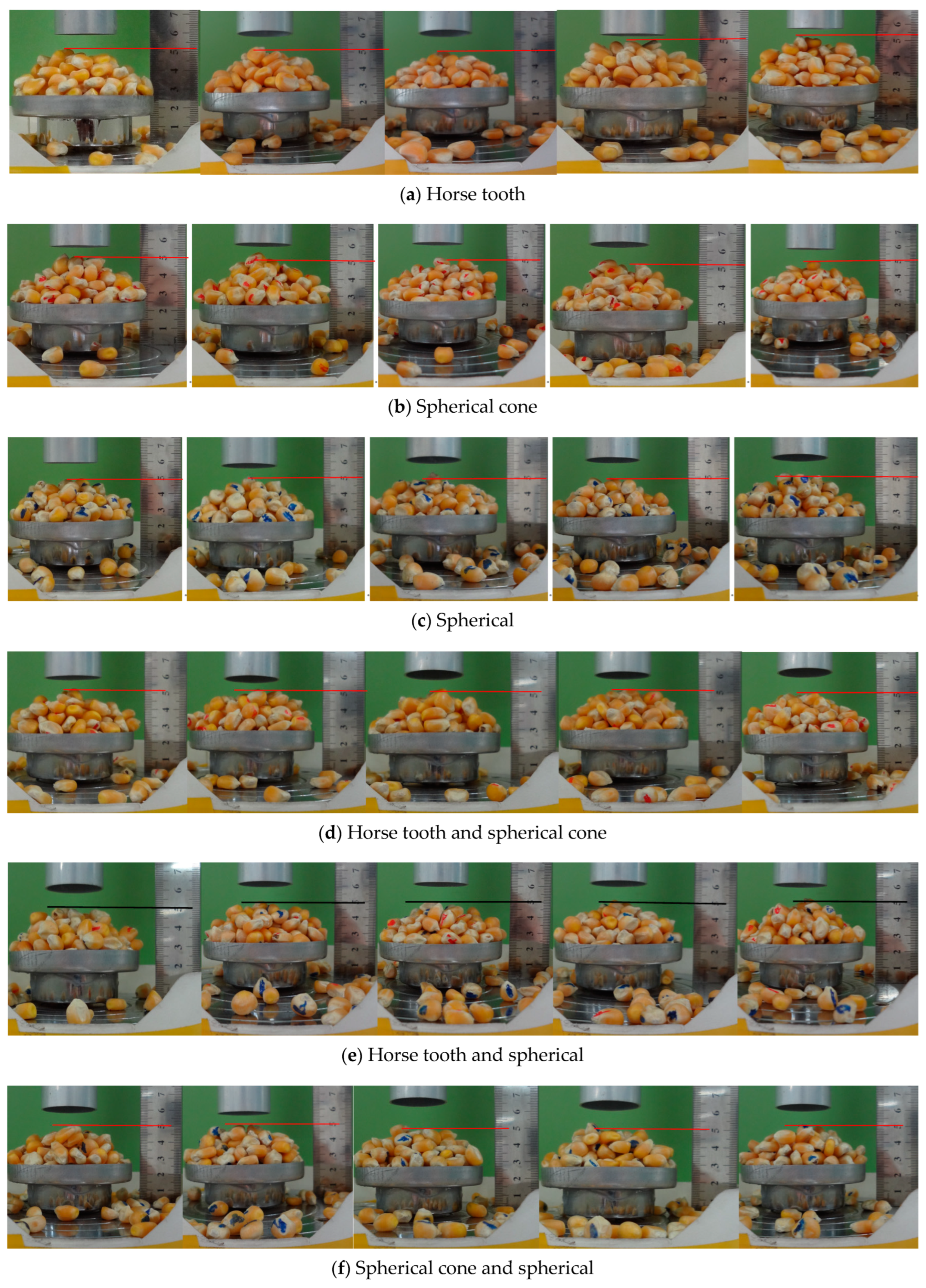 Agronomy 13 01573 g012