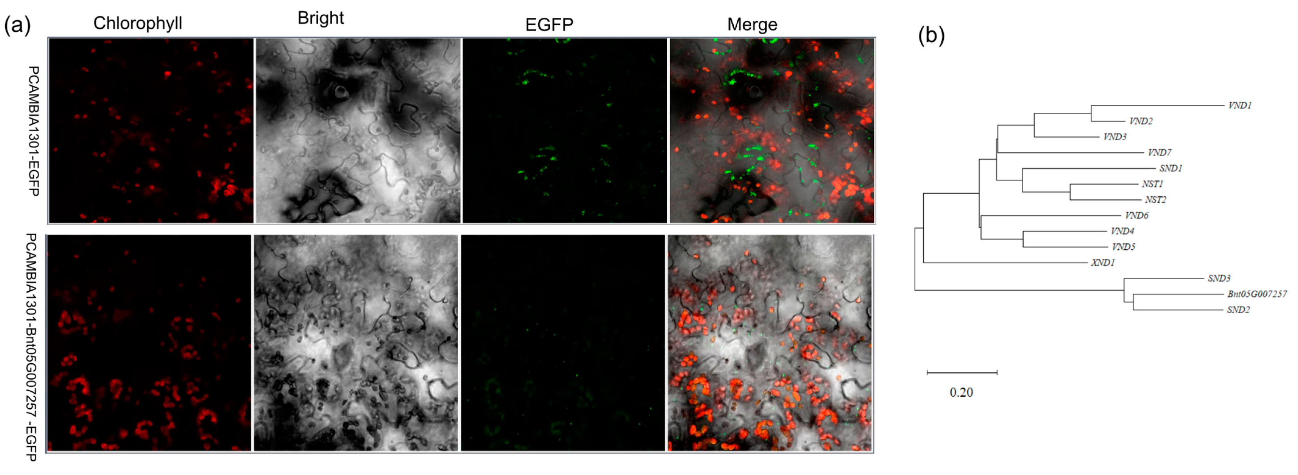 Agronomy 13 01575 g003