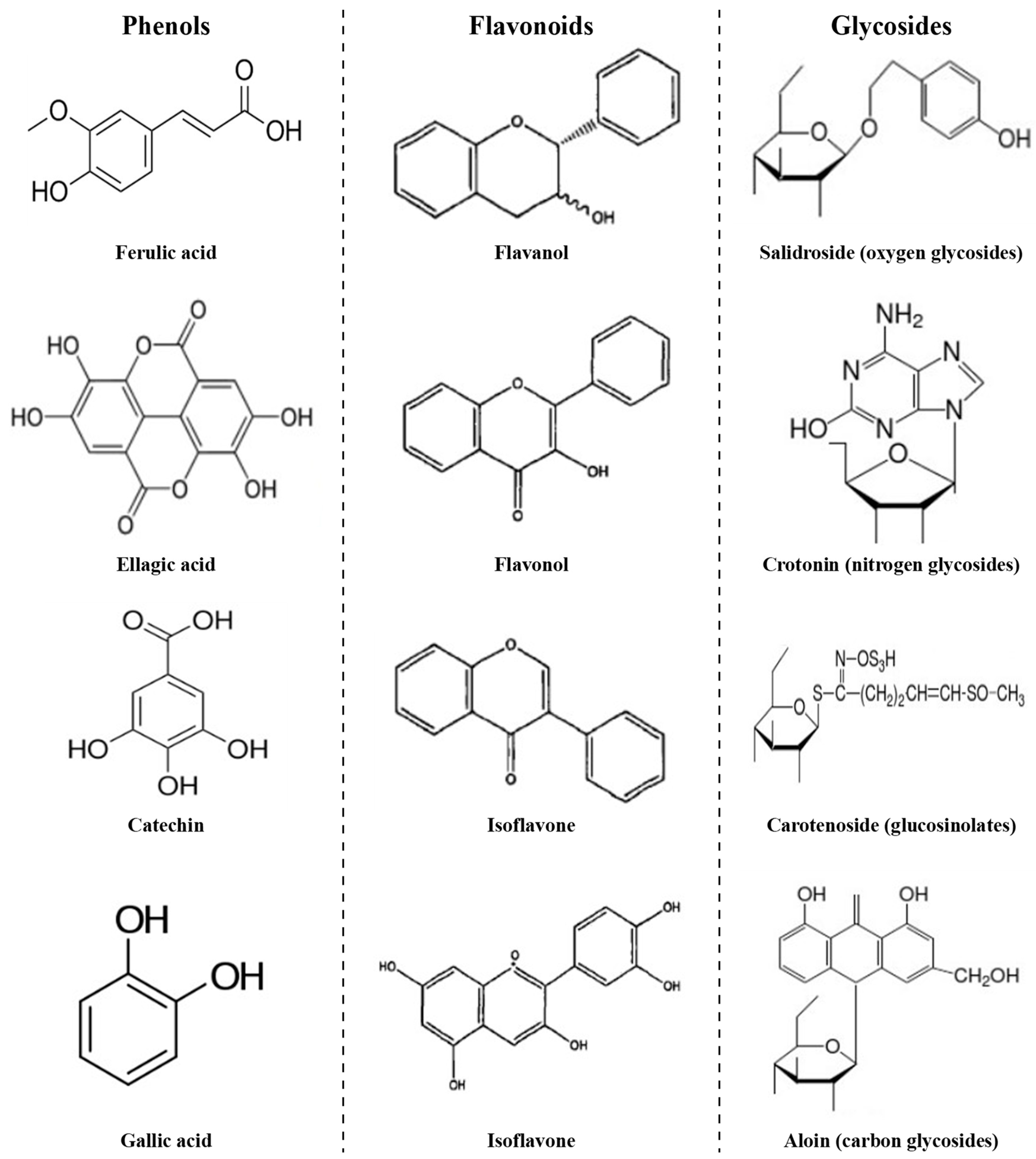 Agronomy 13 01580 g005