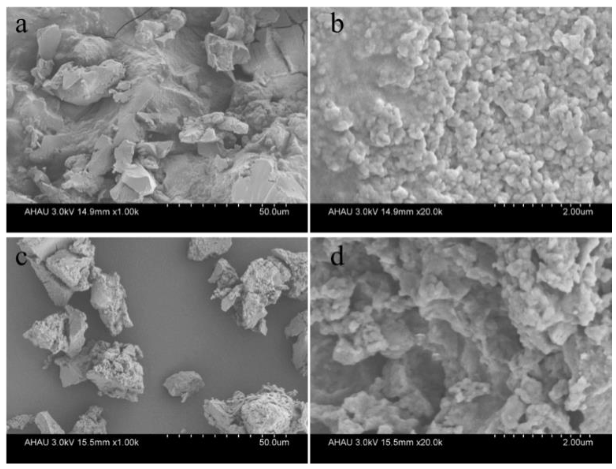 Agronomy 13 01581 g001 Agronomy 13 01581 g001