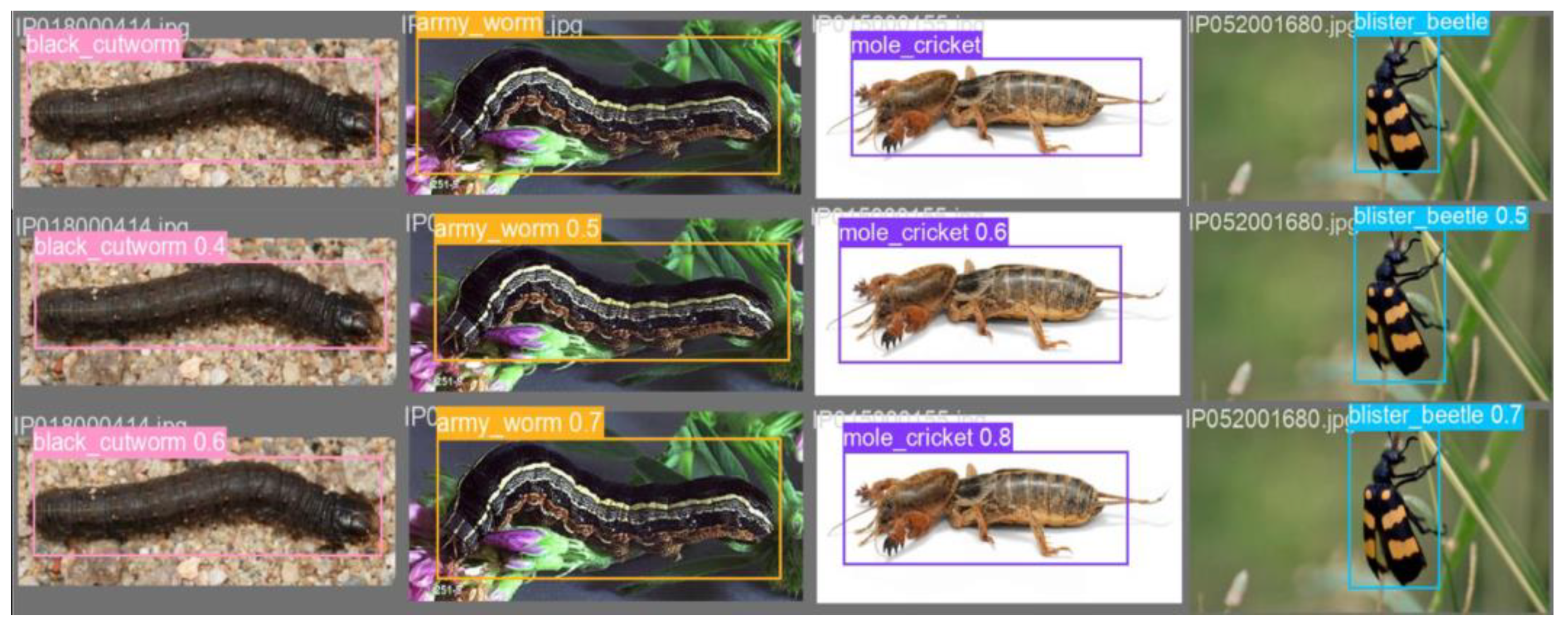 Agronomy 13 01583 g017