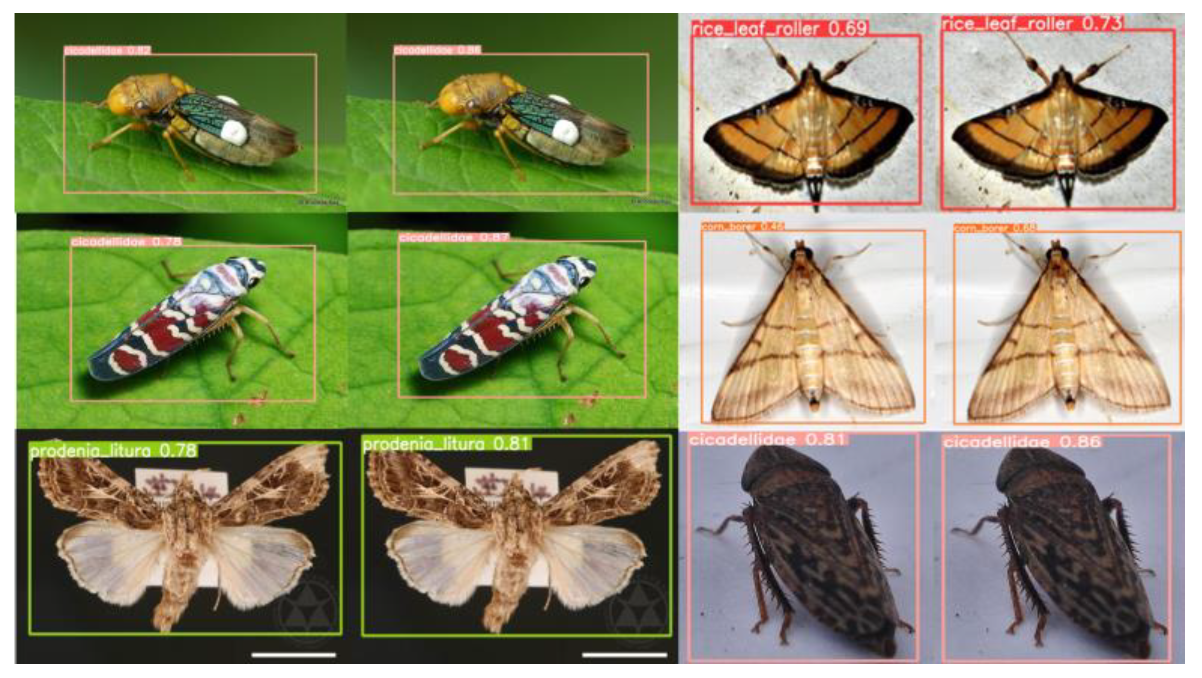 Agronomy 13 01583 g018