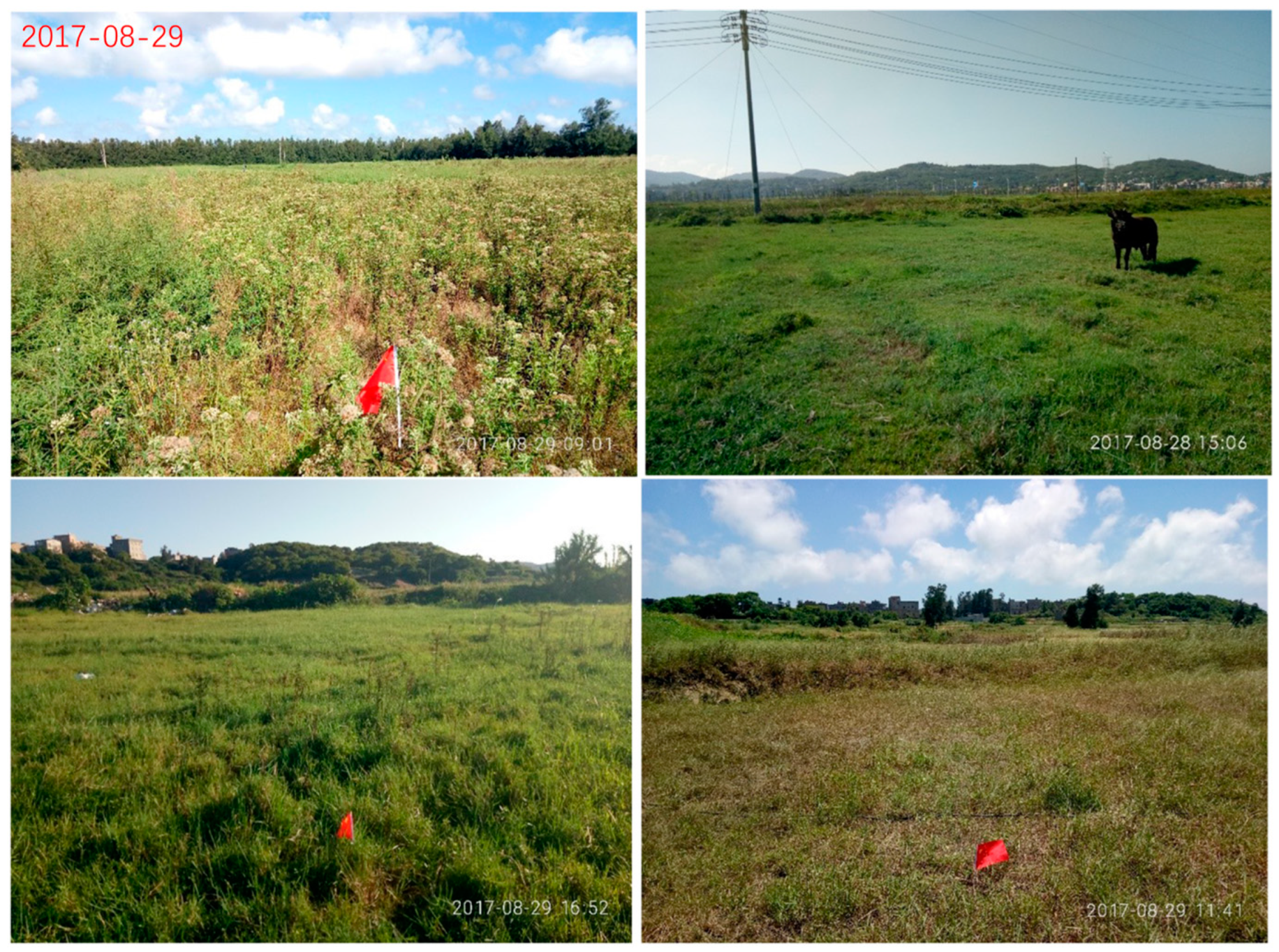 Agronomy 13 01585 g001