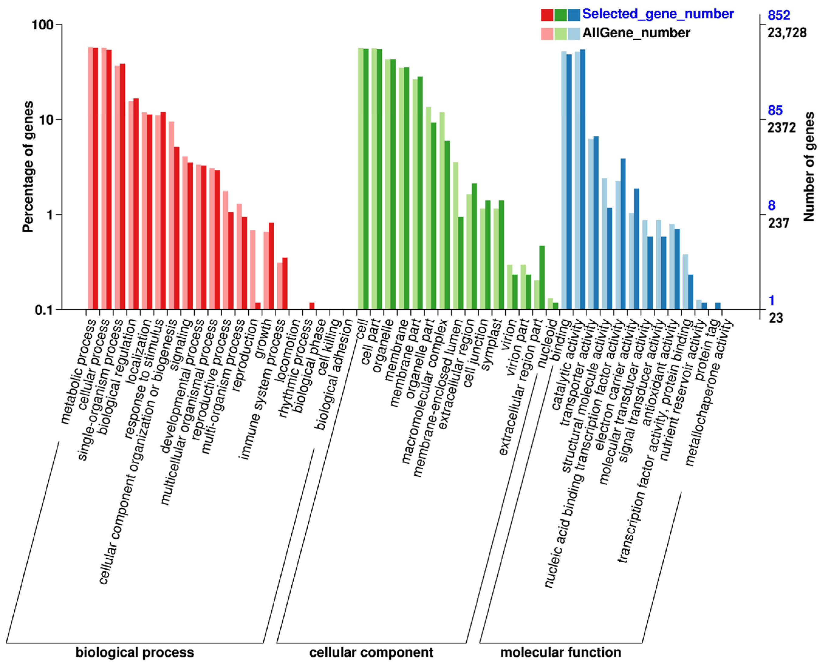 Agronomy 13 01587 g002