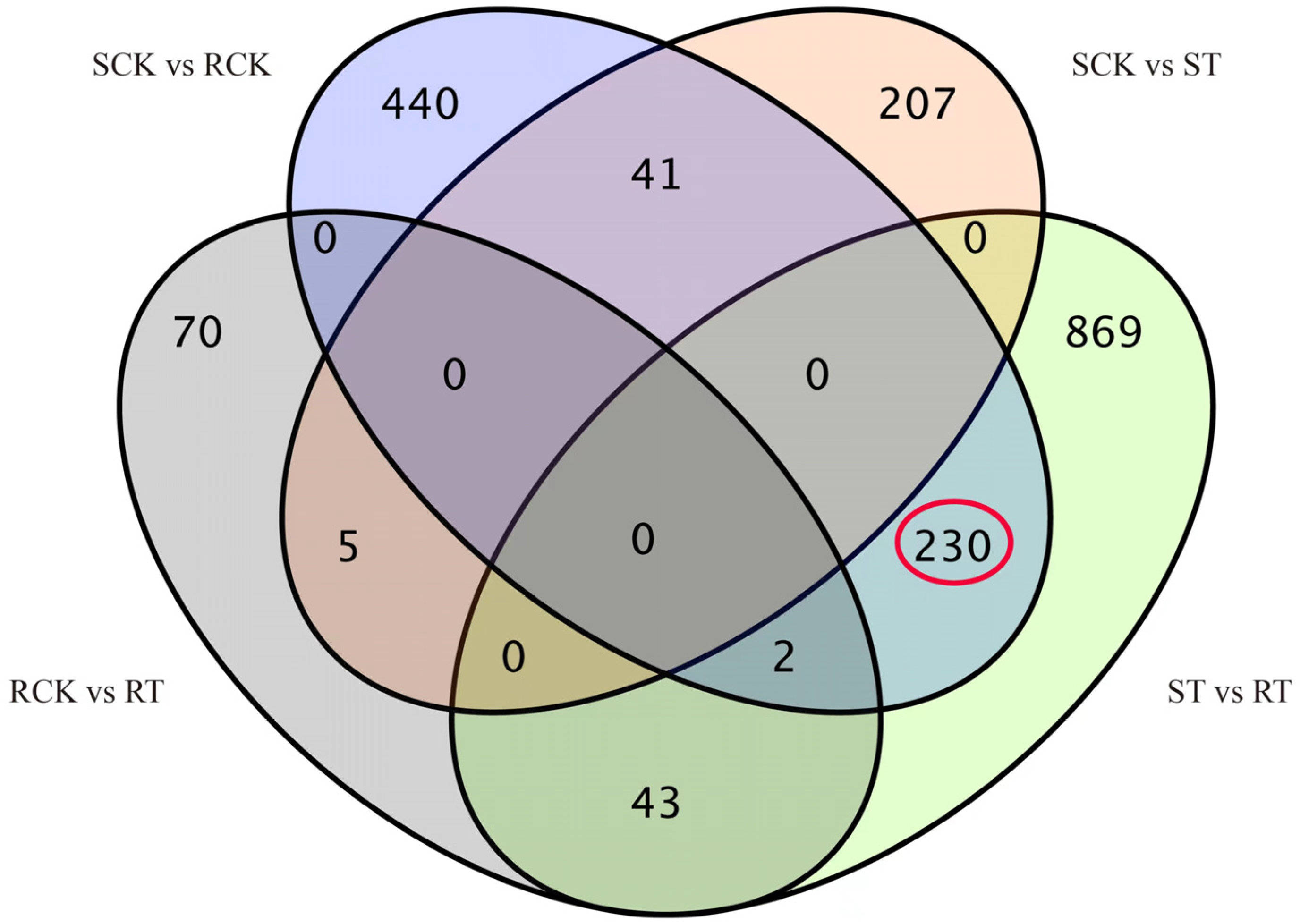 Agronomy 13 01587 g003