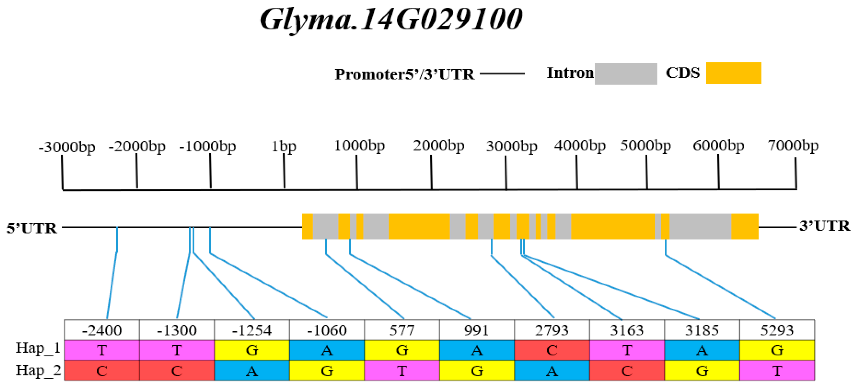 Agronomy 13 01592 g005 Agronomy 13 01592 g005