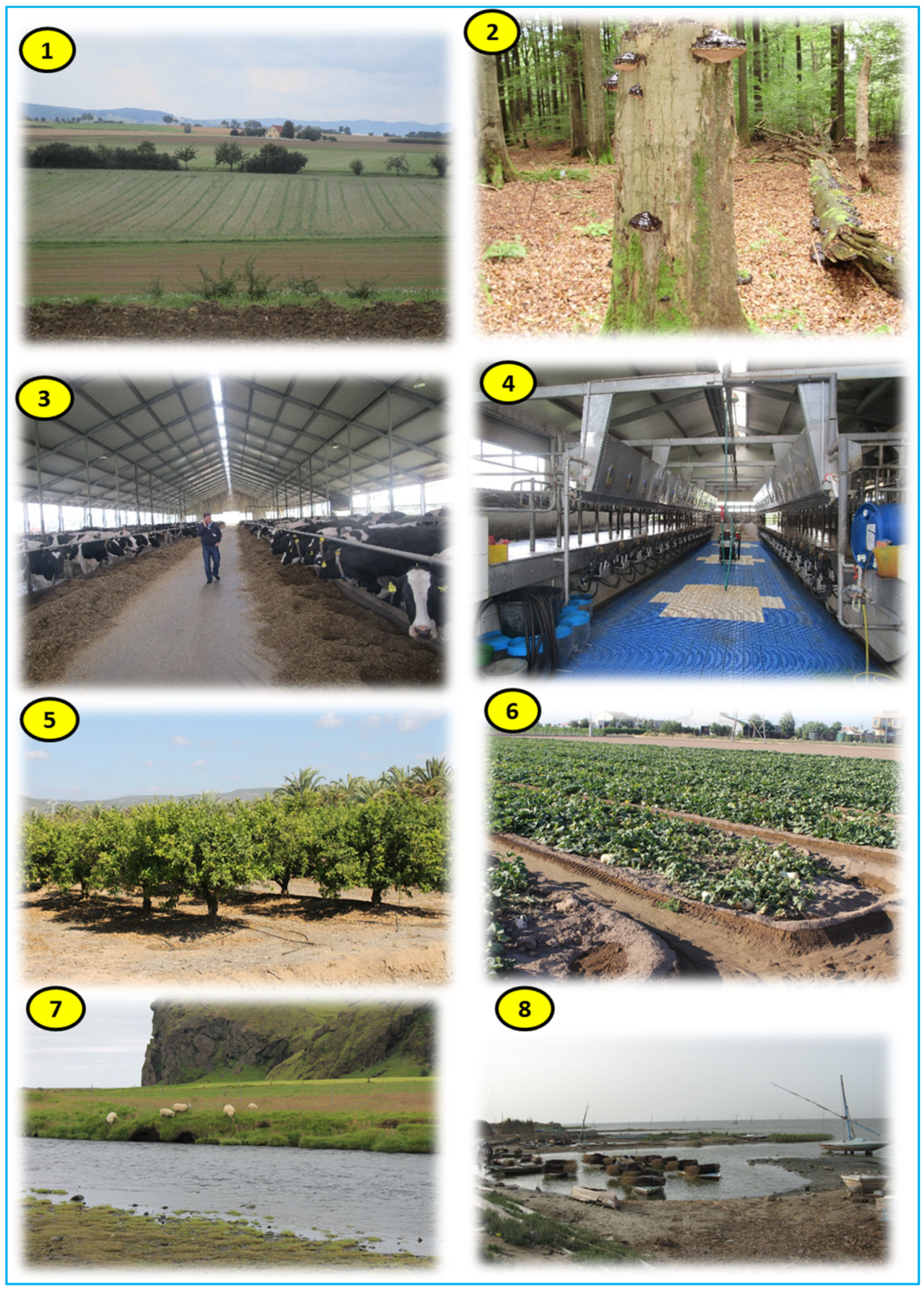 Agronomy Free Full-Text Nanofarming Promising Solutions for the Future of the Global Agricultural Industry photo