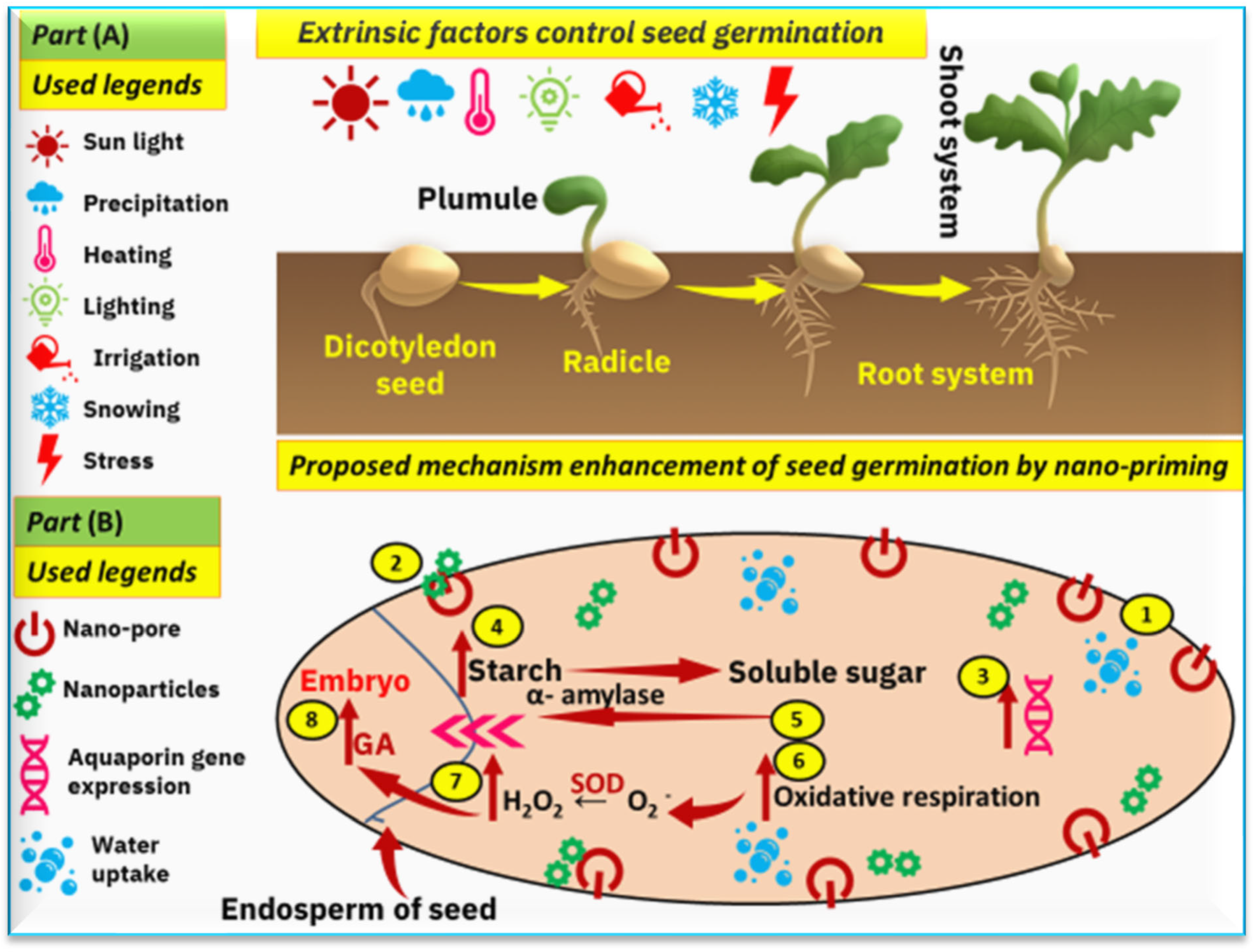 Agronomy 13 01600 g013