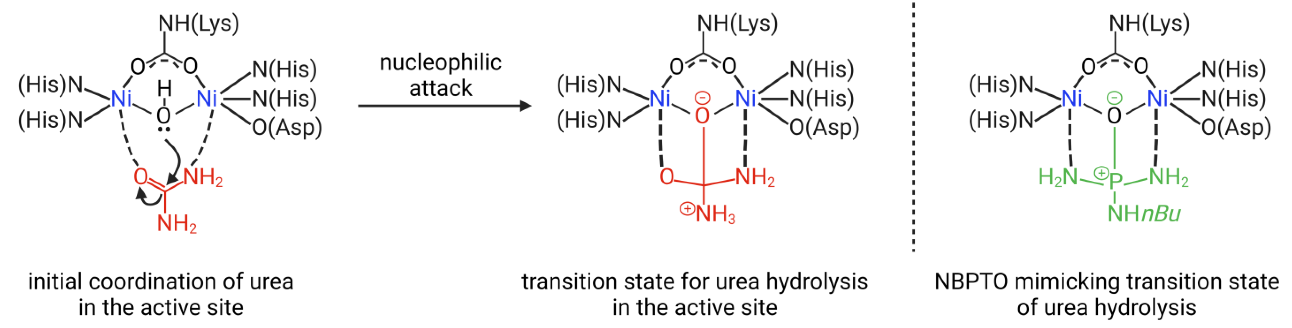 Agronomy 13 01603 g004 Agronomy 13 01603 g004