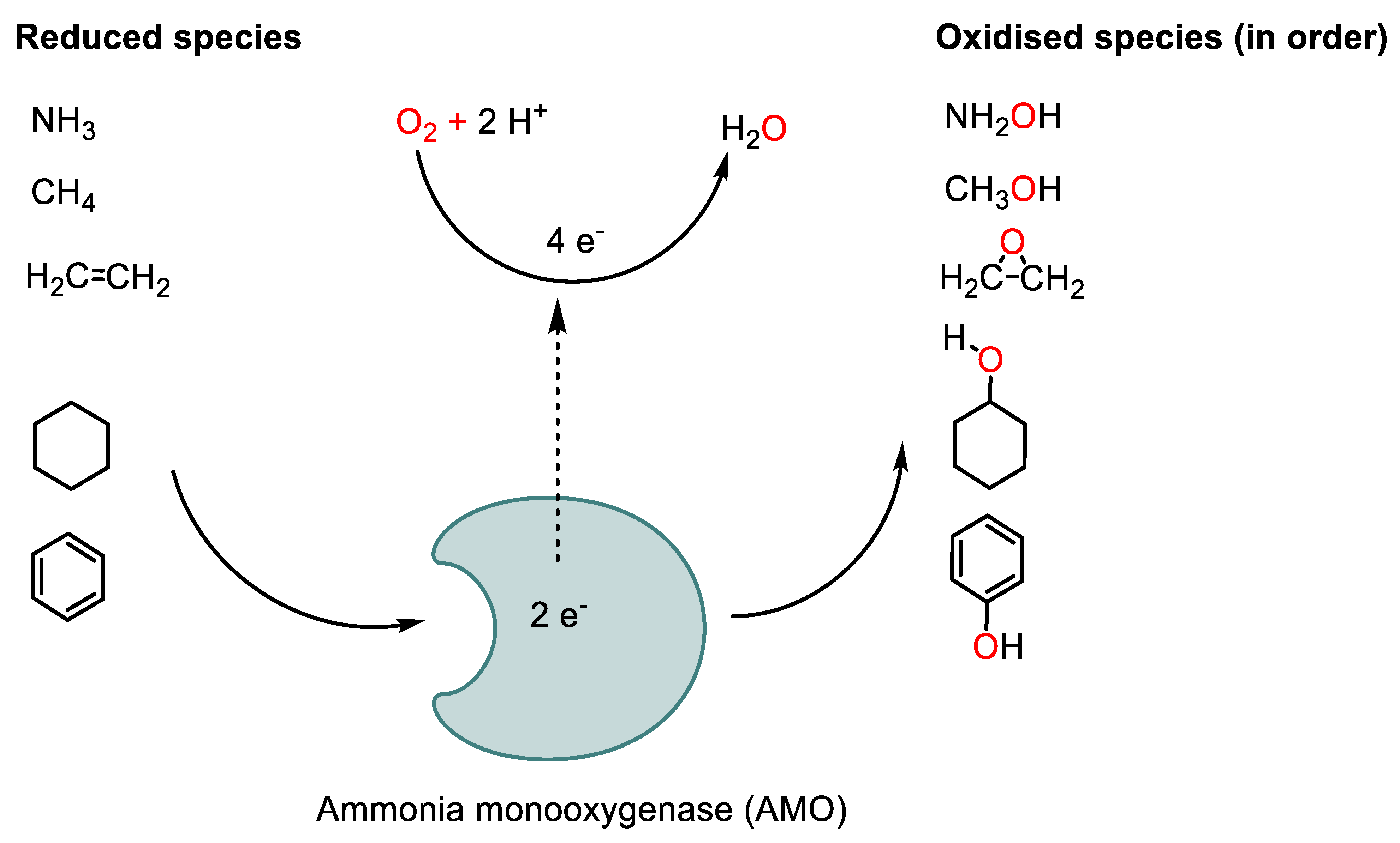 Agronomy 13 01603 g006 Agronomy 13 01603 g006
