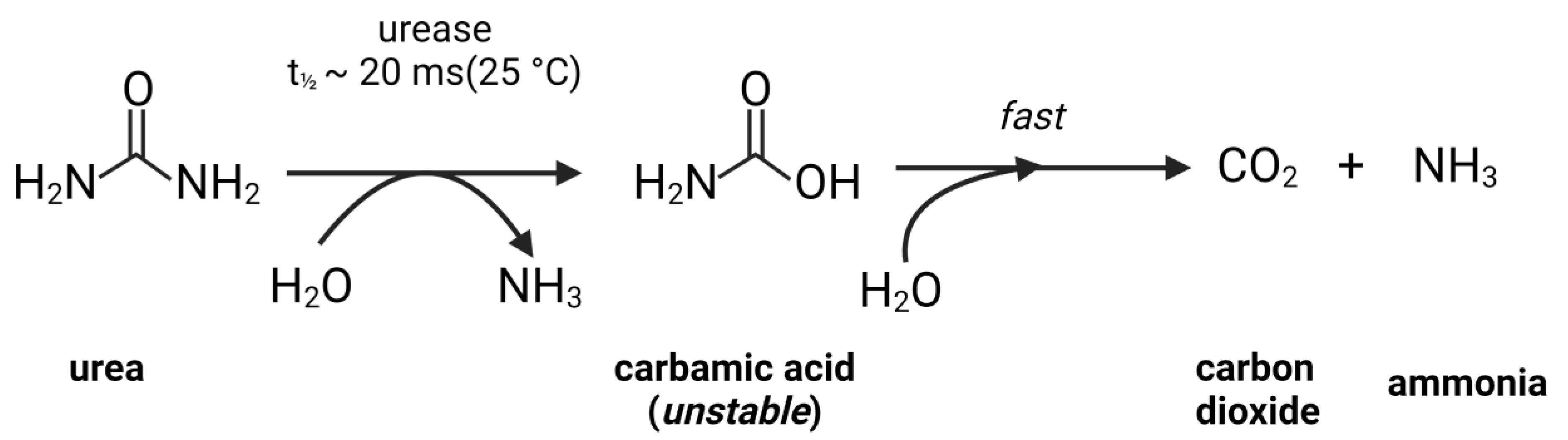 Agronomy 13 01603 sch001 Agronomy 13 01603 sch001