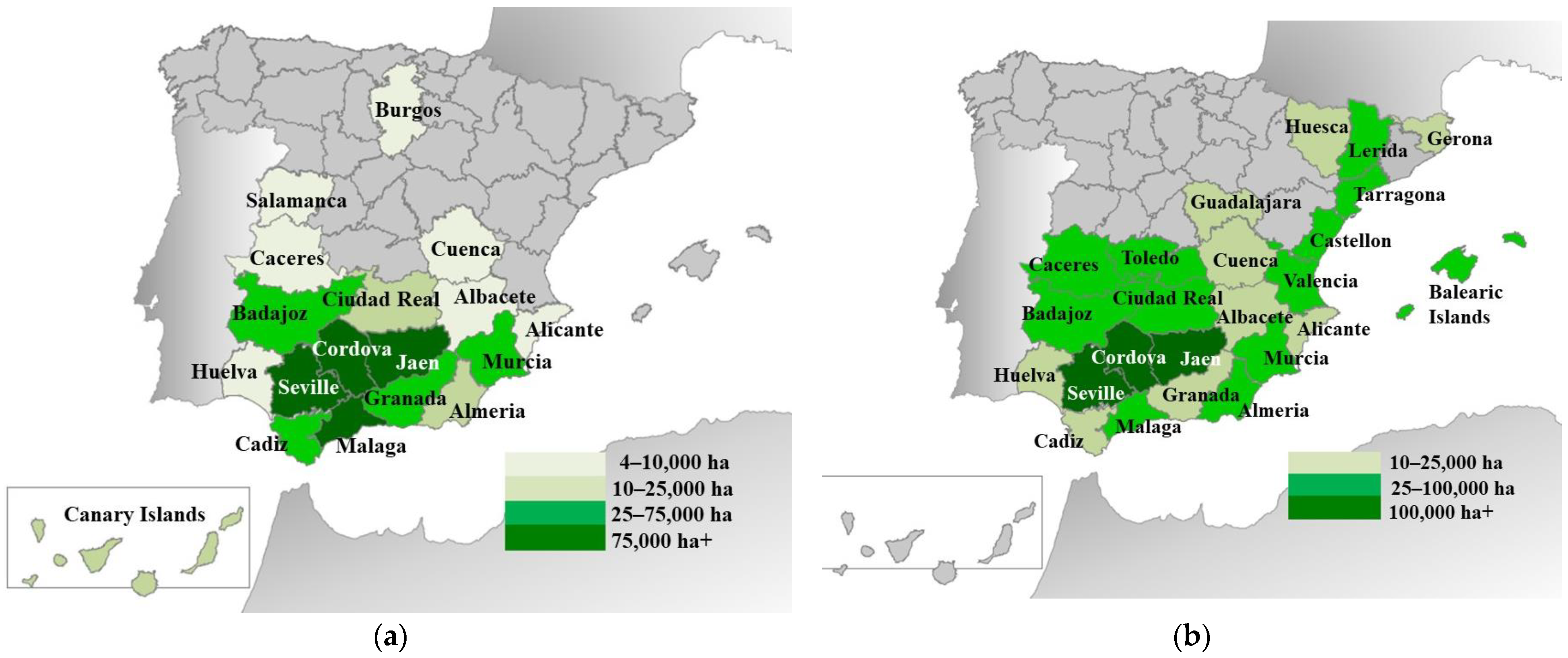 File:Mapa municipal de España y Portugal.png - Wikimedia Commons