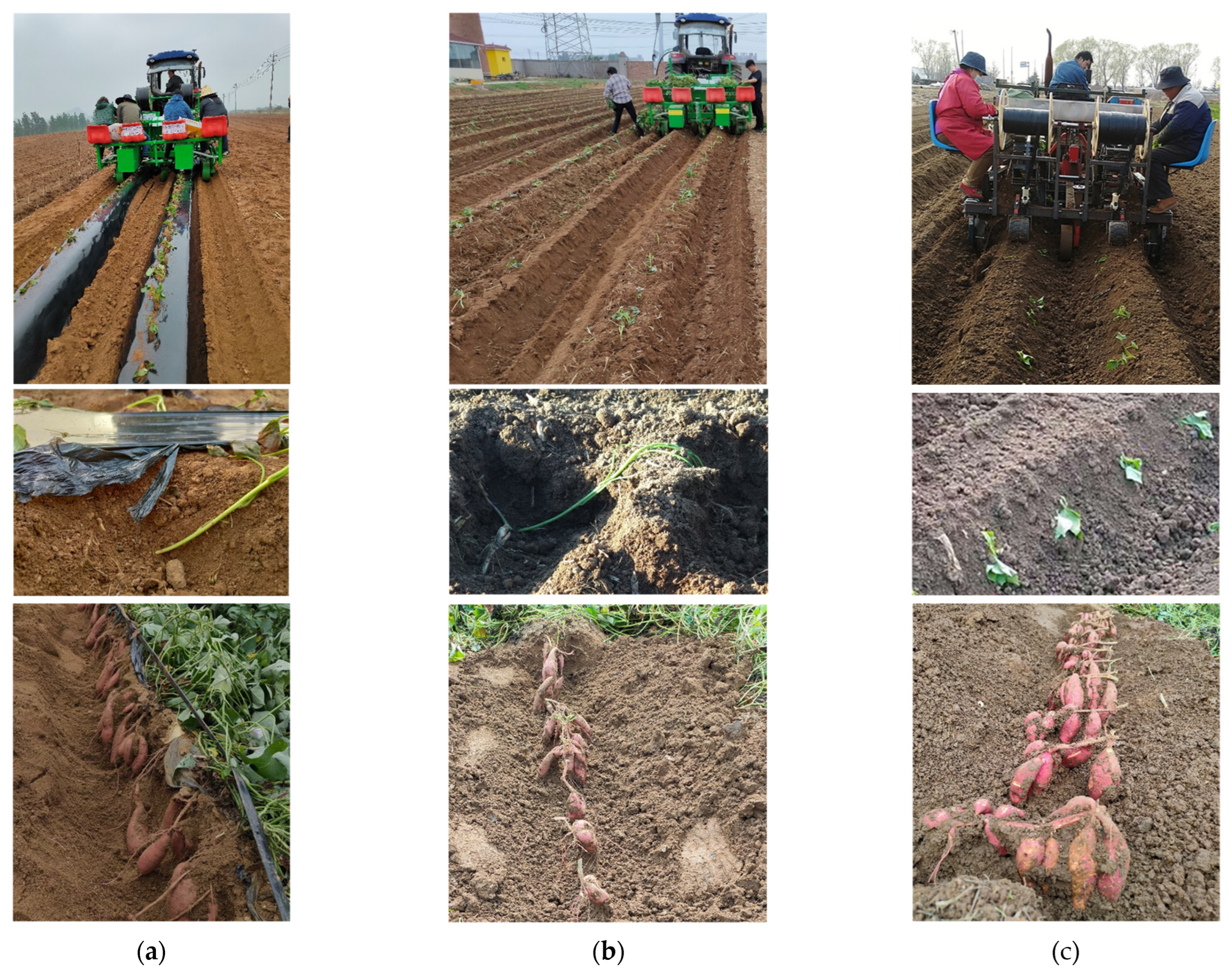 Agronomy 13 01611 g003