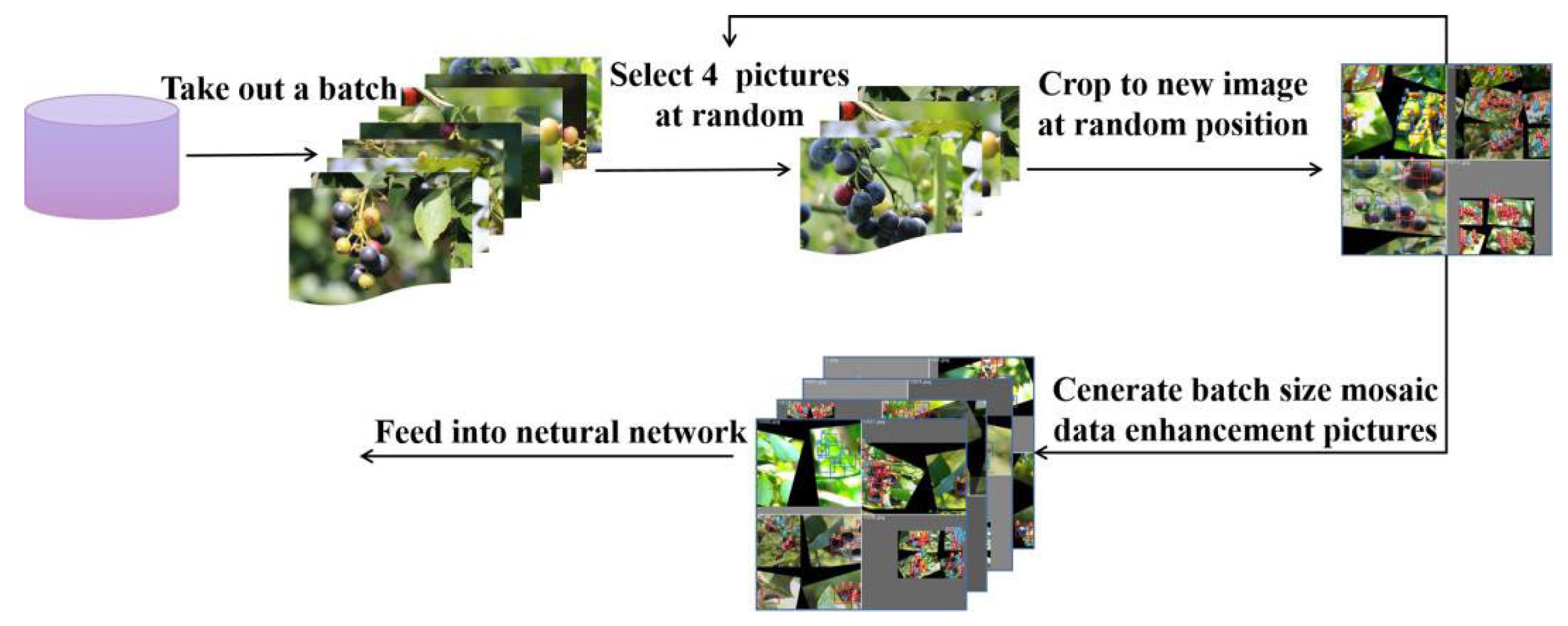 Agronomy 13 01613 g003 Agronomy 13 01613 g003