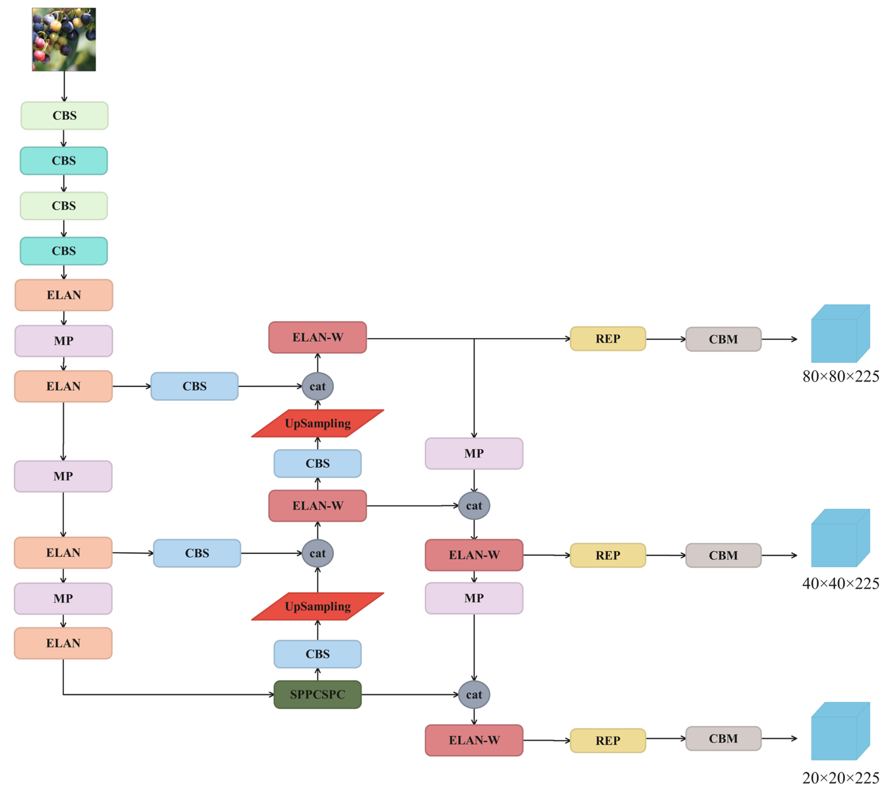 Agronomy 13 01613 g004 Agronomy 13 01613 g004