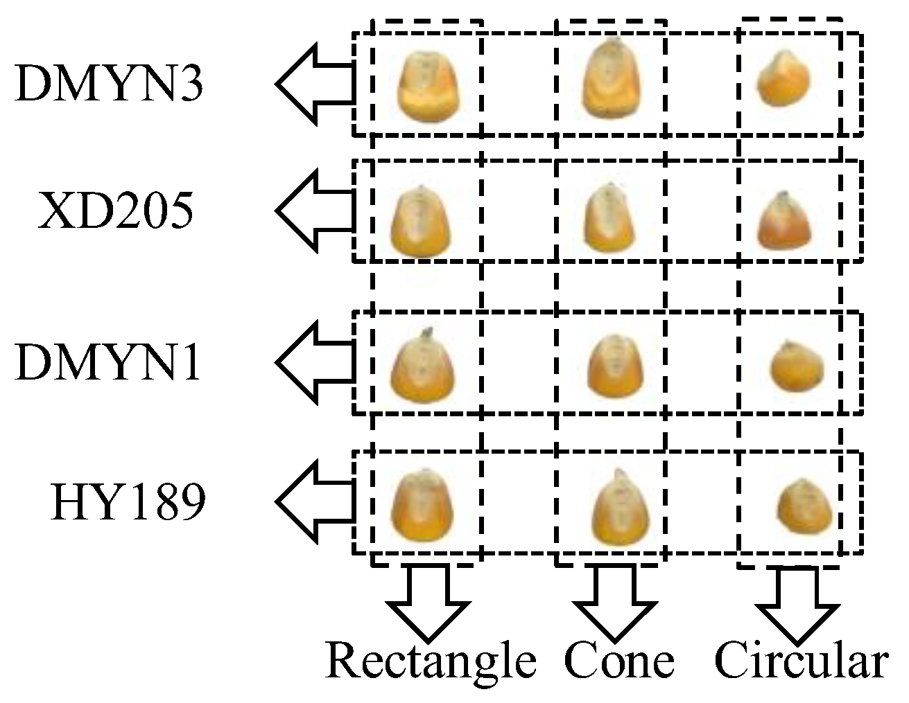 Agronomy 13 01615 g001 Agronomy 13 01615 g001