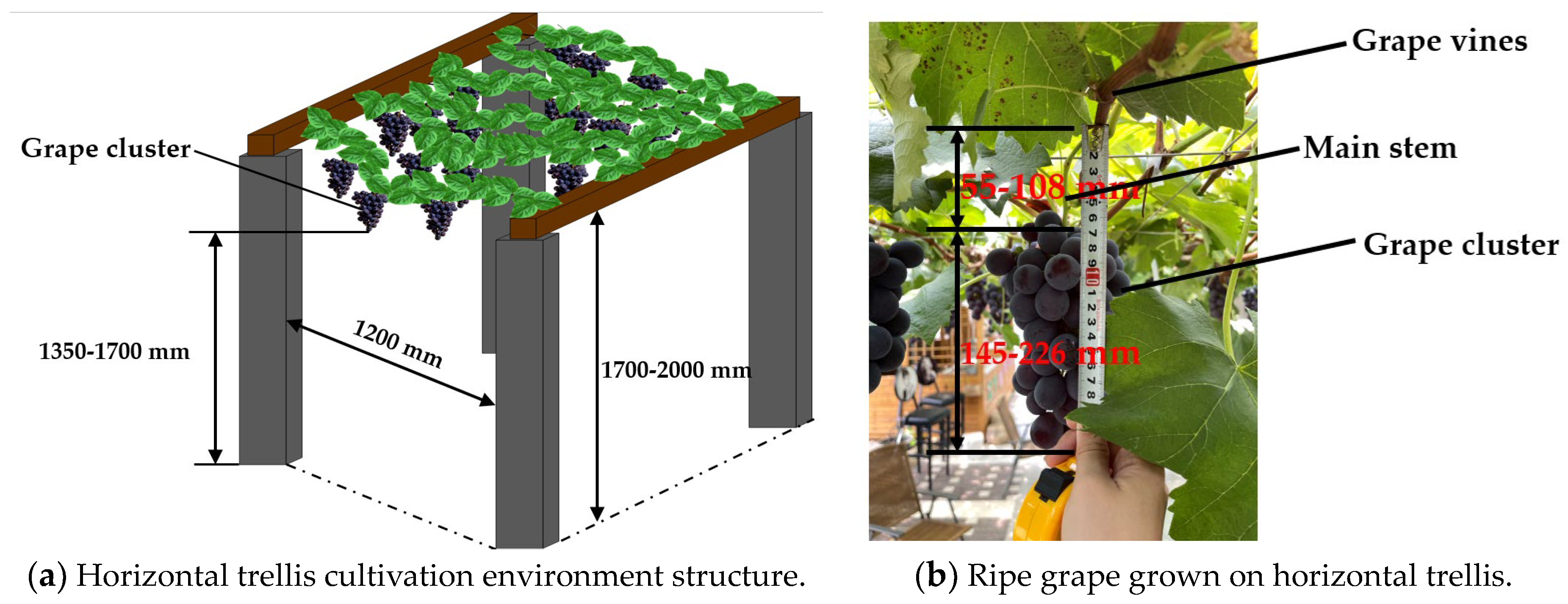 https://www.mdpi.com/agronomy/agronomy-13-01618/article_deploy/html/images/agronomy-13-01618-g001.png