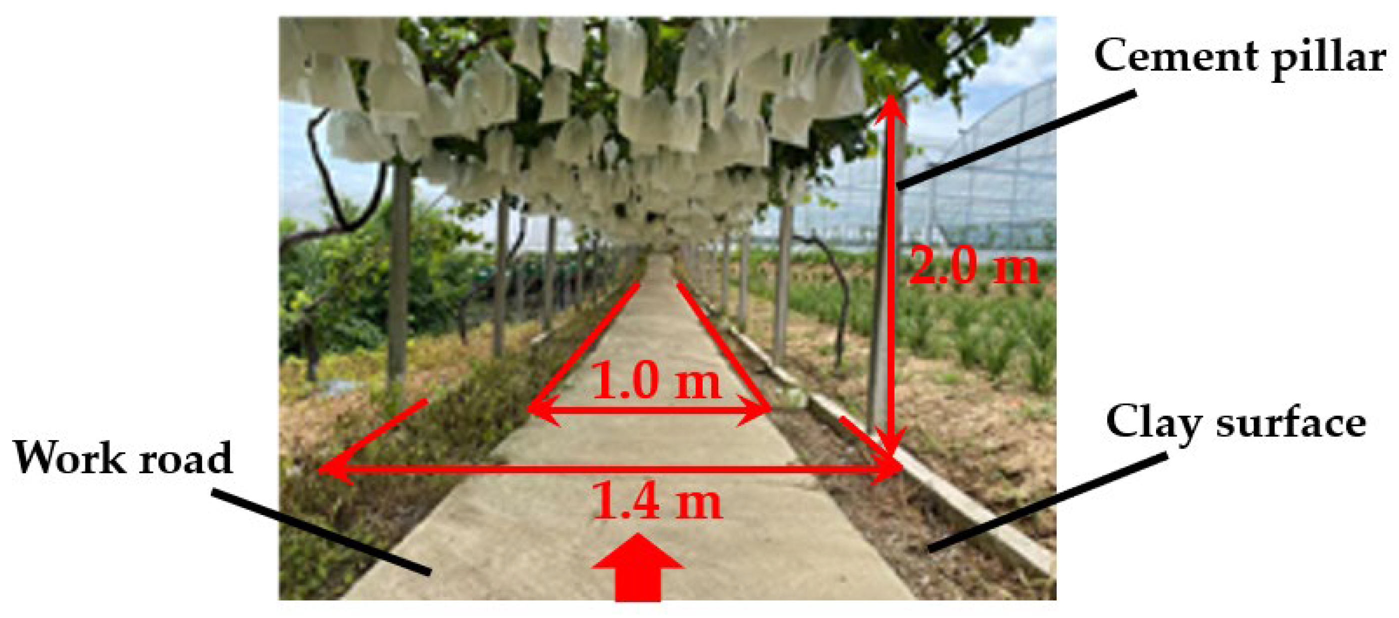 Agronomy 13 01618 g005 Agronomy 13 01618 g005