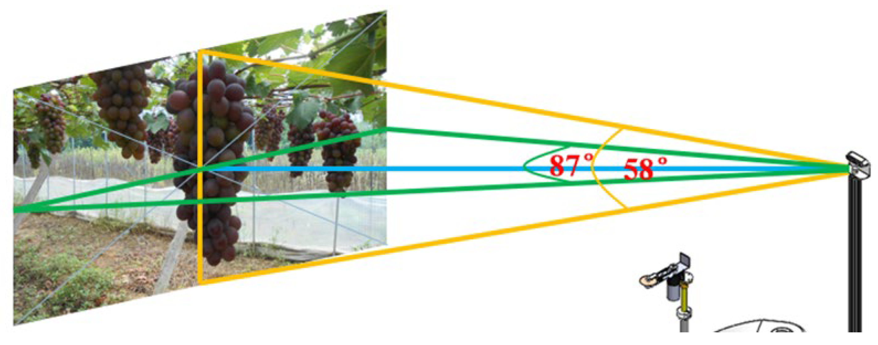 Agronomy 13 01618 g006 Agronomy 13 01618 g006