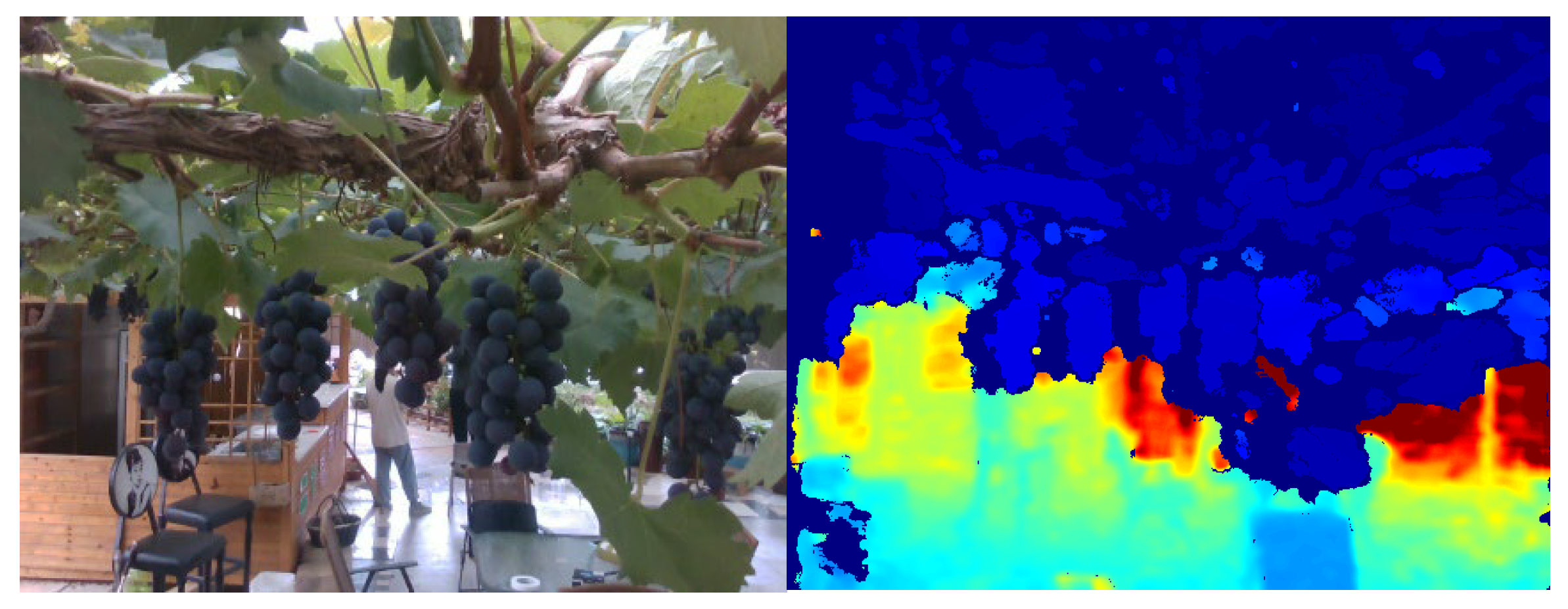 Agronomy 13 01618 g010 Agronomy 13 01618 g010