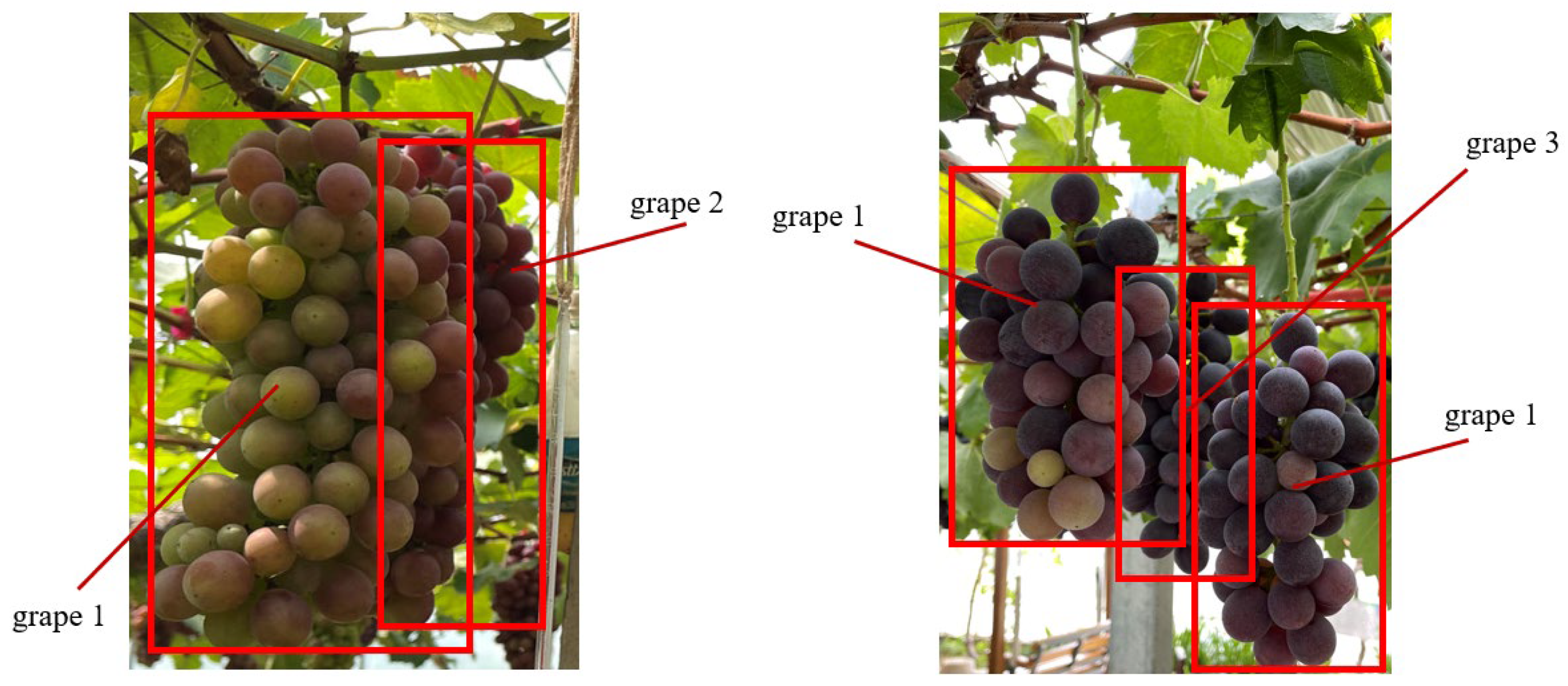 Agronomy 13 01618 g013 Agronomy 13 01618 g013