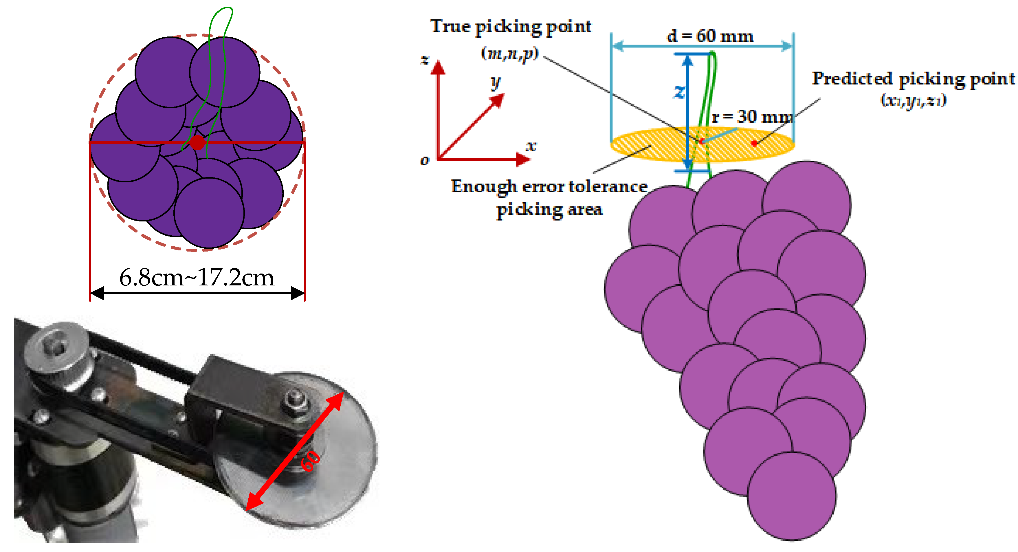 Agronomy 13 01618 g016 Agronomy 13 01618 g016