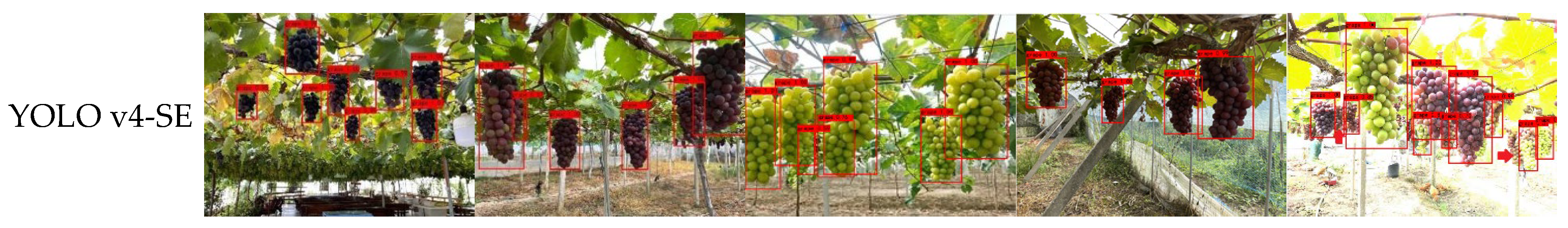 Agronomy 13 01618 g021b Agronomy 13 01618 g021b