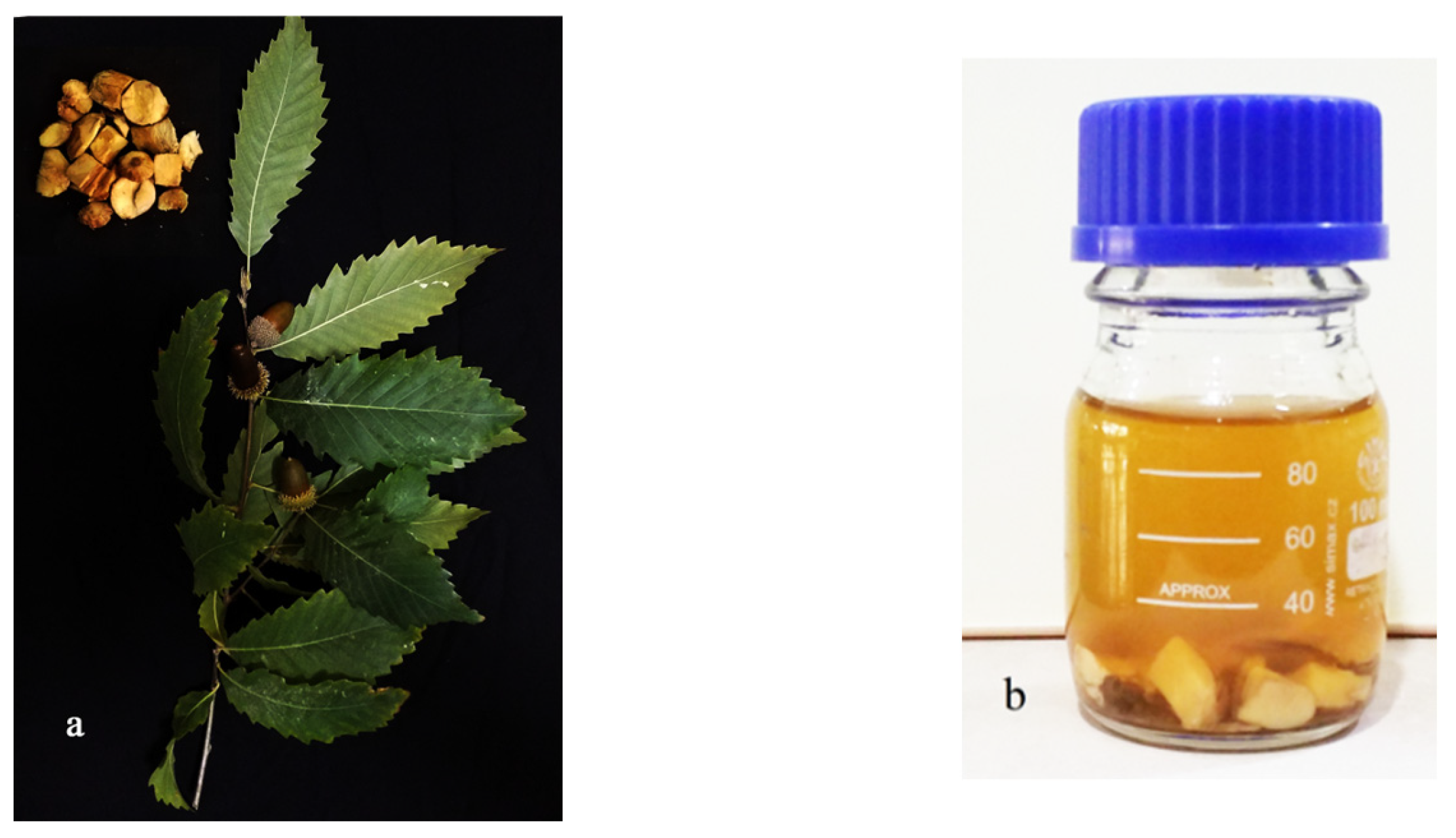 Agronomy 13 01624 g001 Agronomy 13 01624 g001