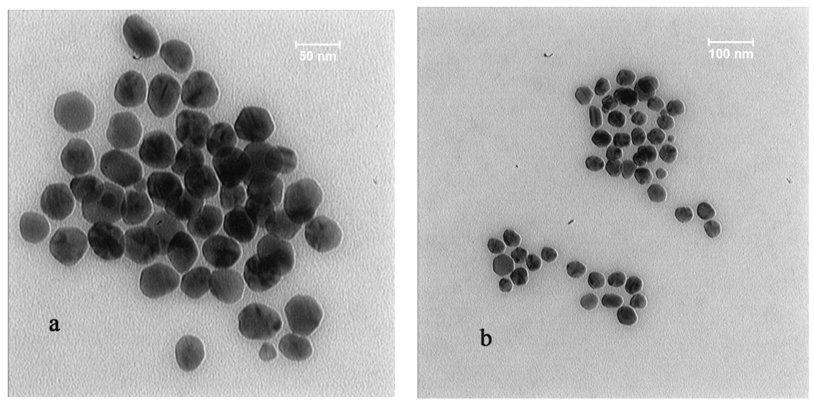 Agronomy 13 01624 g003 Agronomy 13 01624 g003