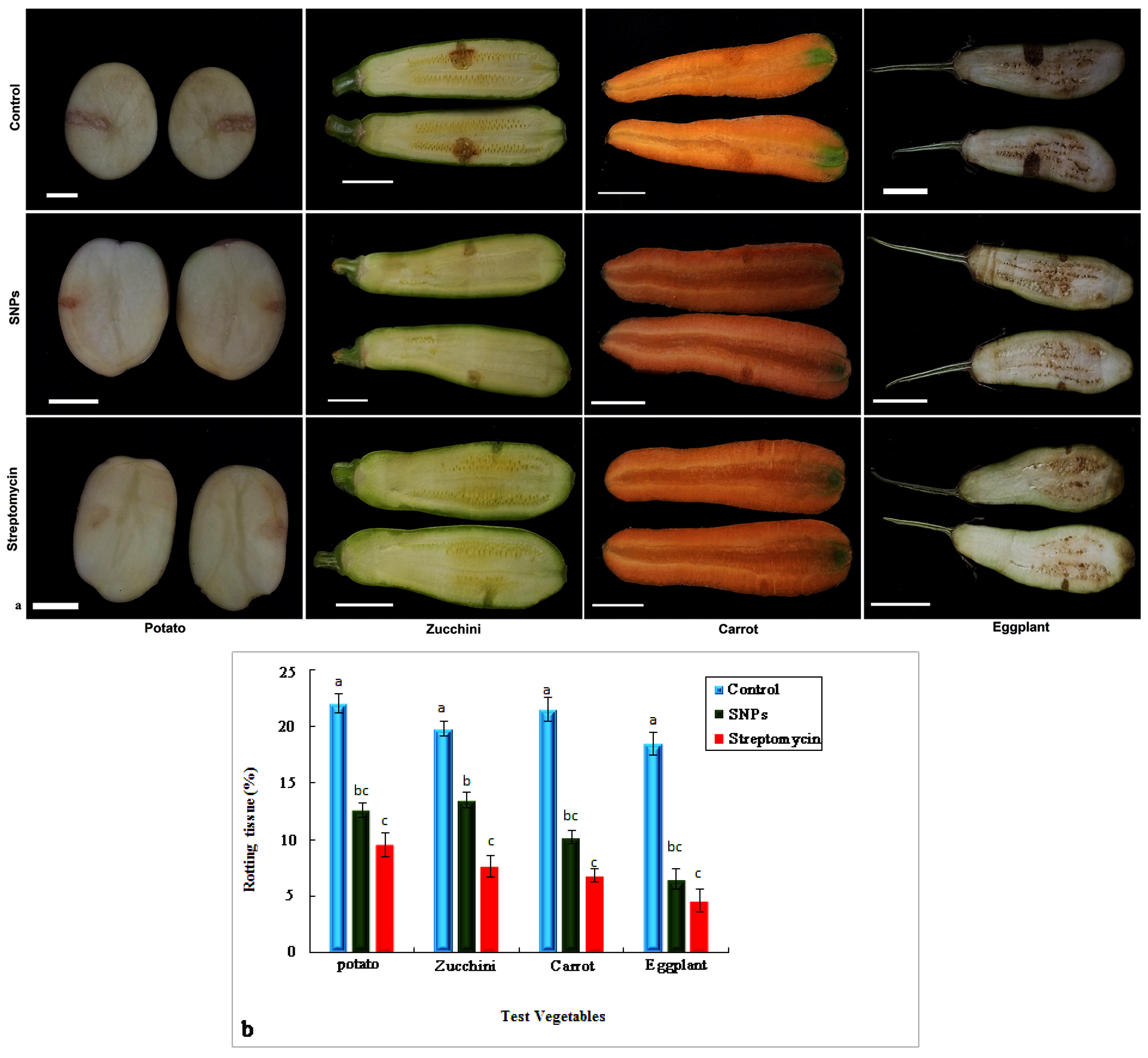 Agronomy 13 01624 g010 Agronomy 13 01624 g010