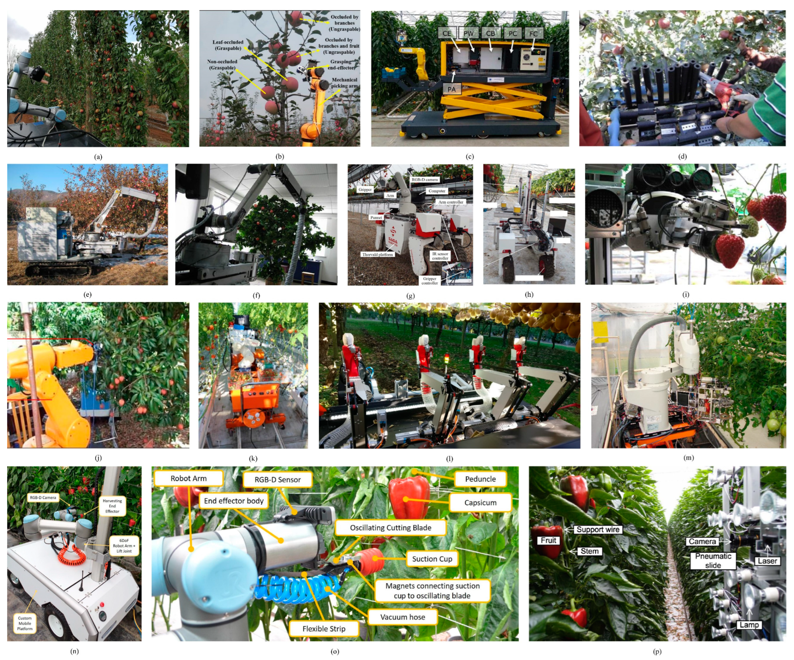 Agronomy 13 01625 g001 Agronomy 13 01625 g001