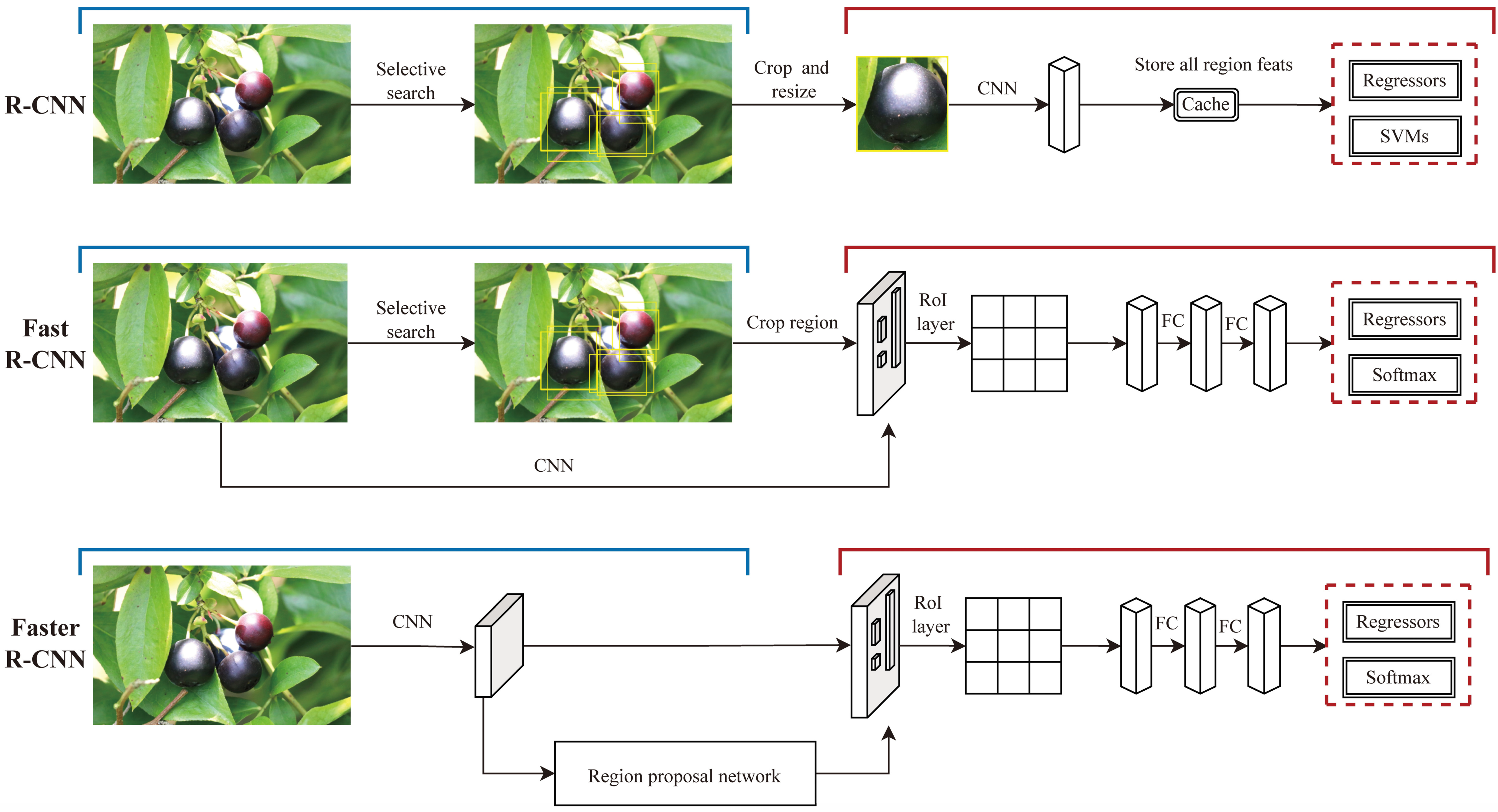 Agronomy 13 01625 g016 Agronomy 13 01625 g016