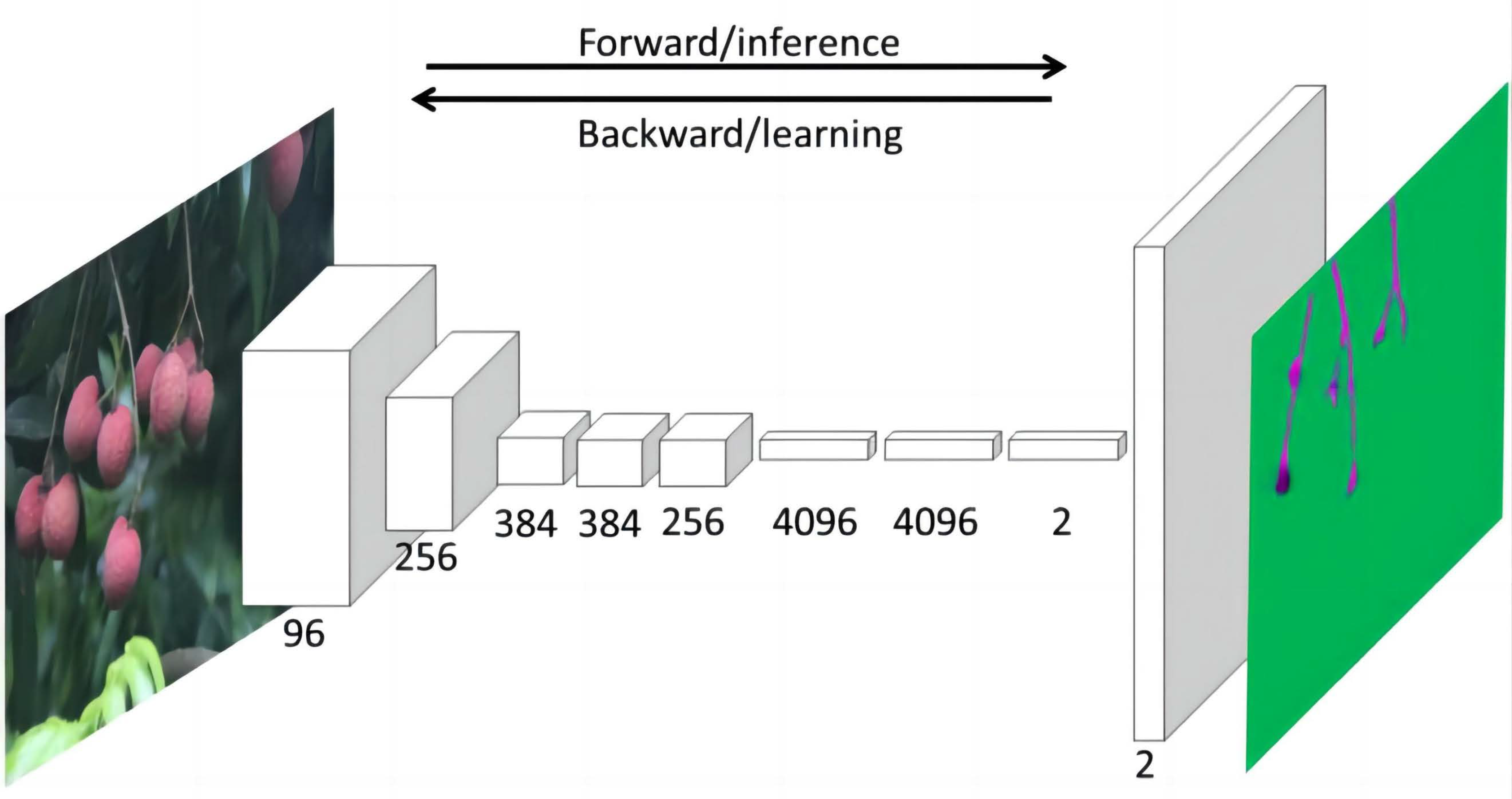 Agronomy 13 01625 g018 Agronomy 13 01625 g018