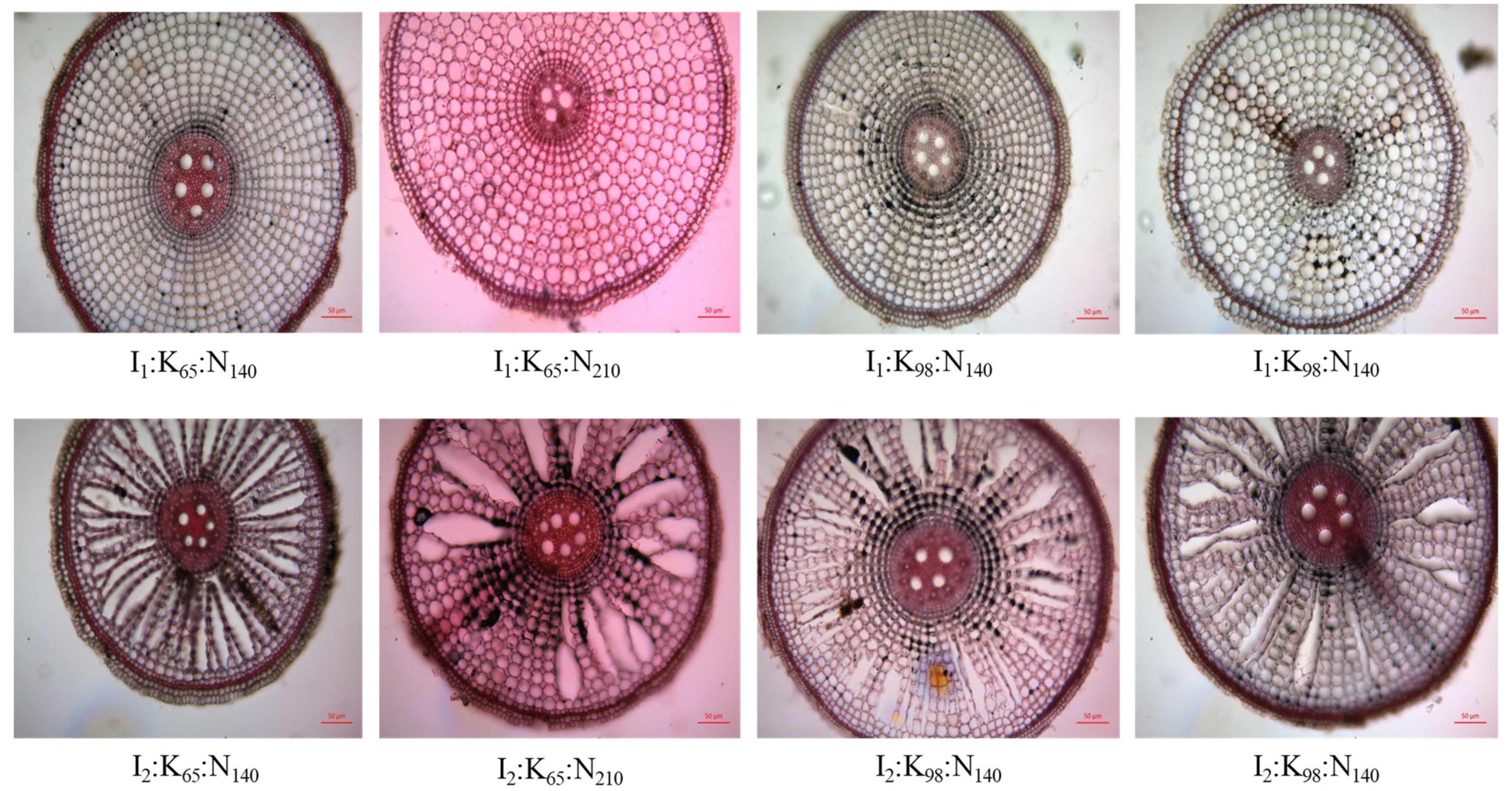 Agronomy 13 01626 g006 Agronomy 13 01626 g006