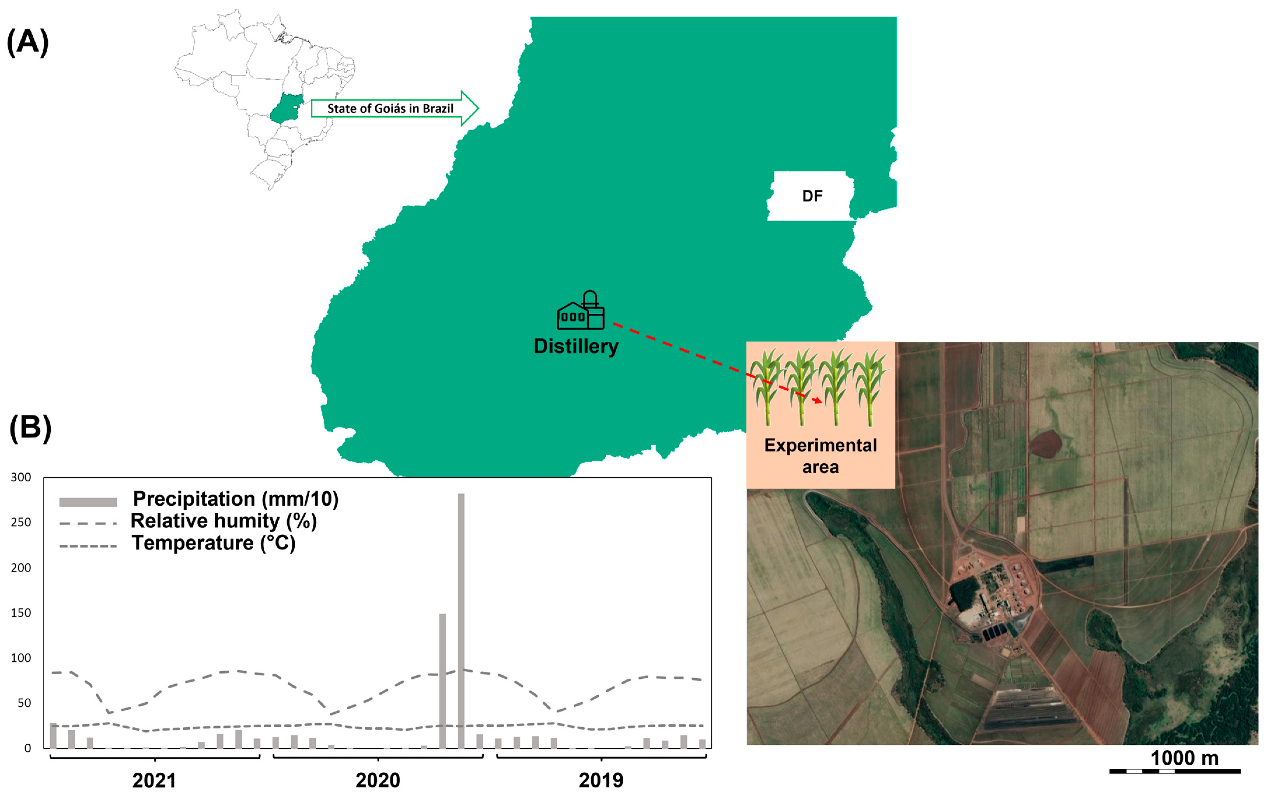 Agronomy 13 01627 g001 Agronomy 13 01627 g001