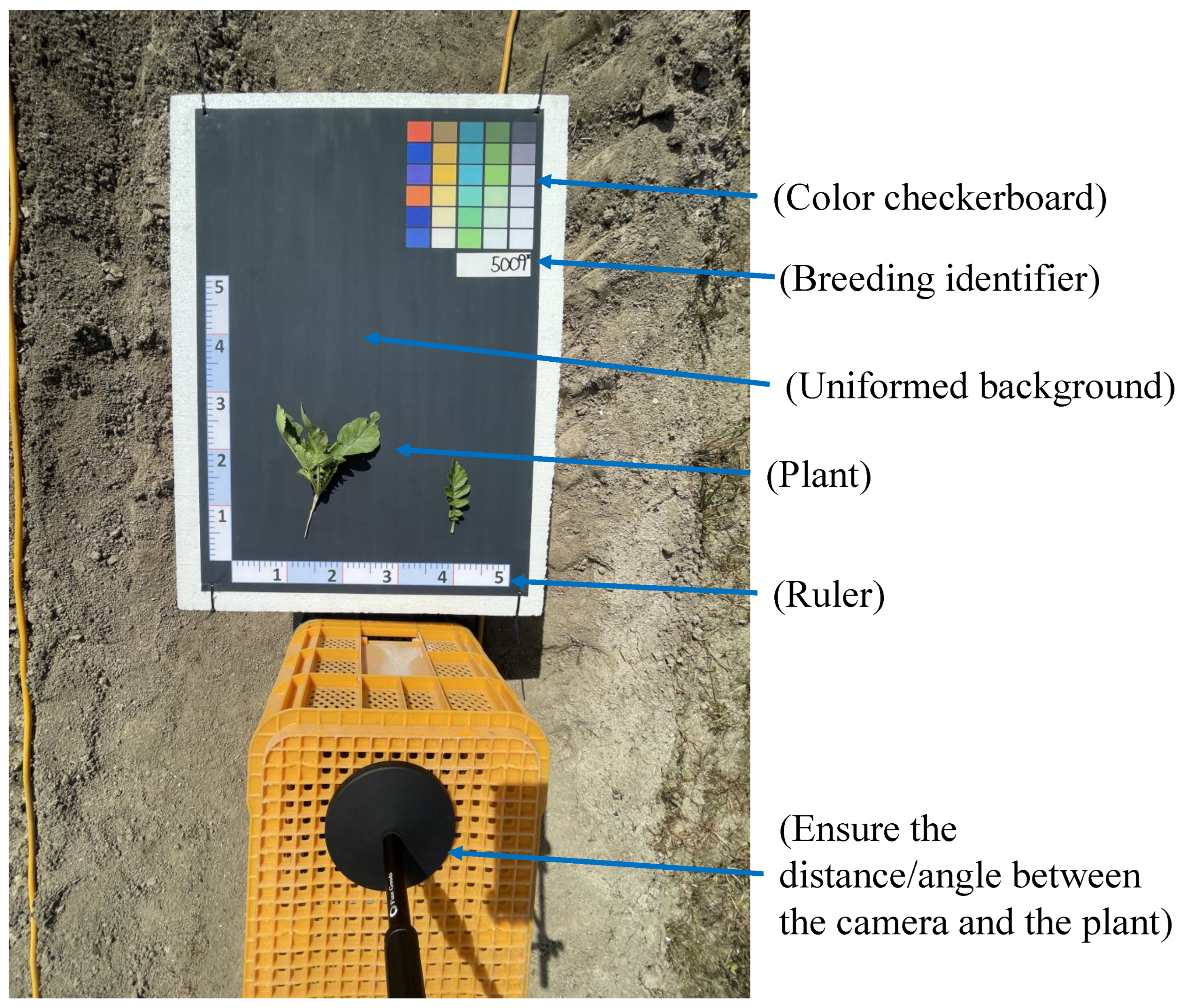 Agronomy 13 01630 g002
